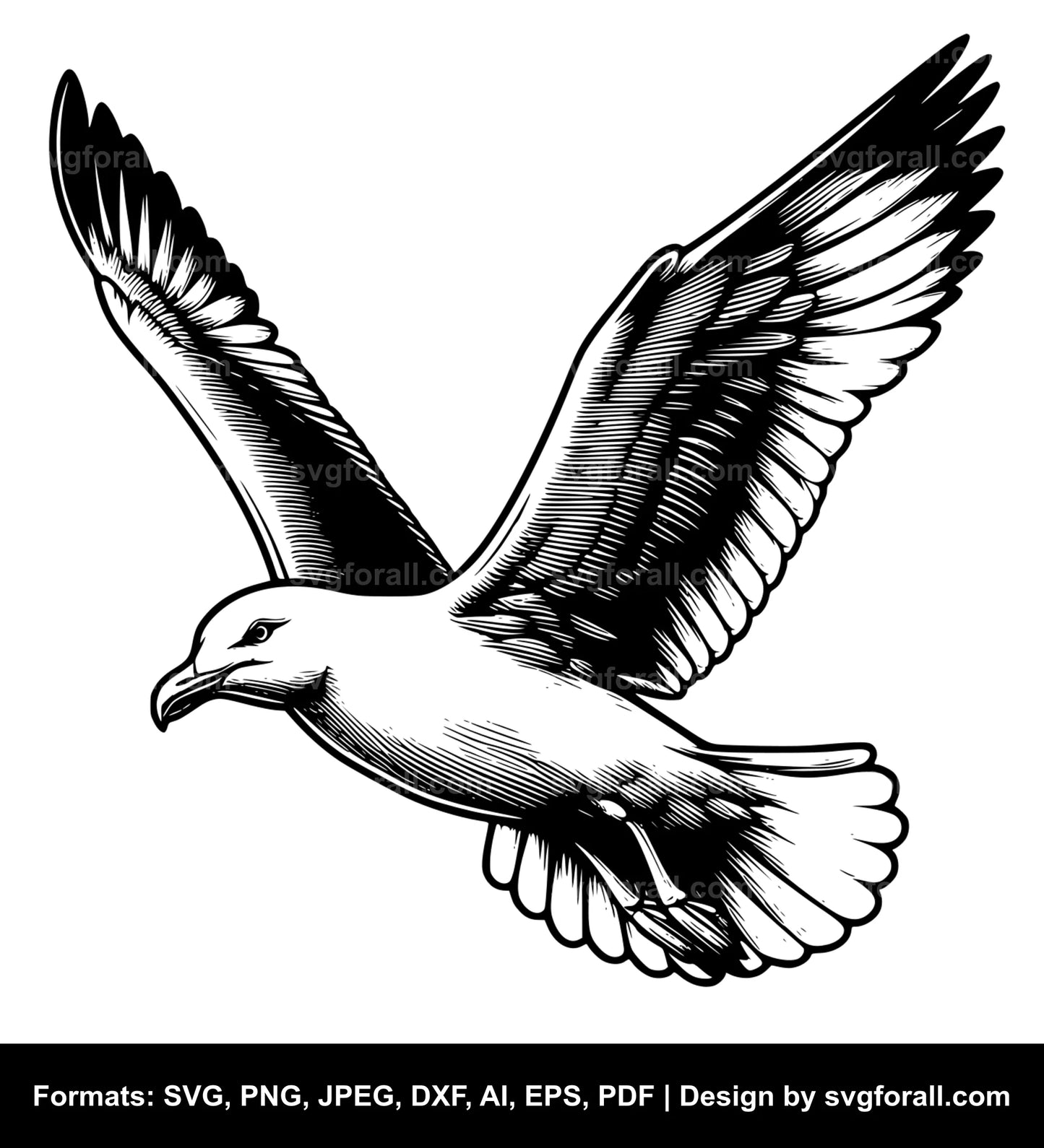 Flying Seagull SVG Vector