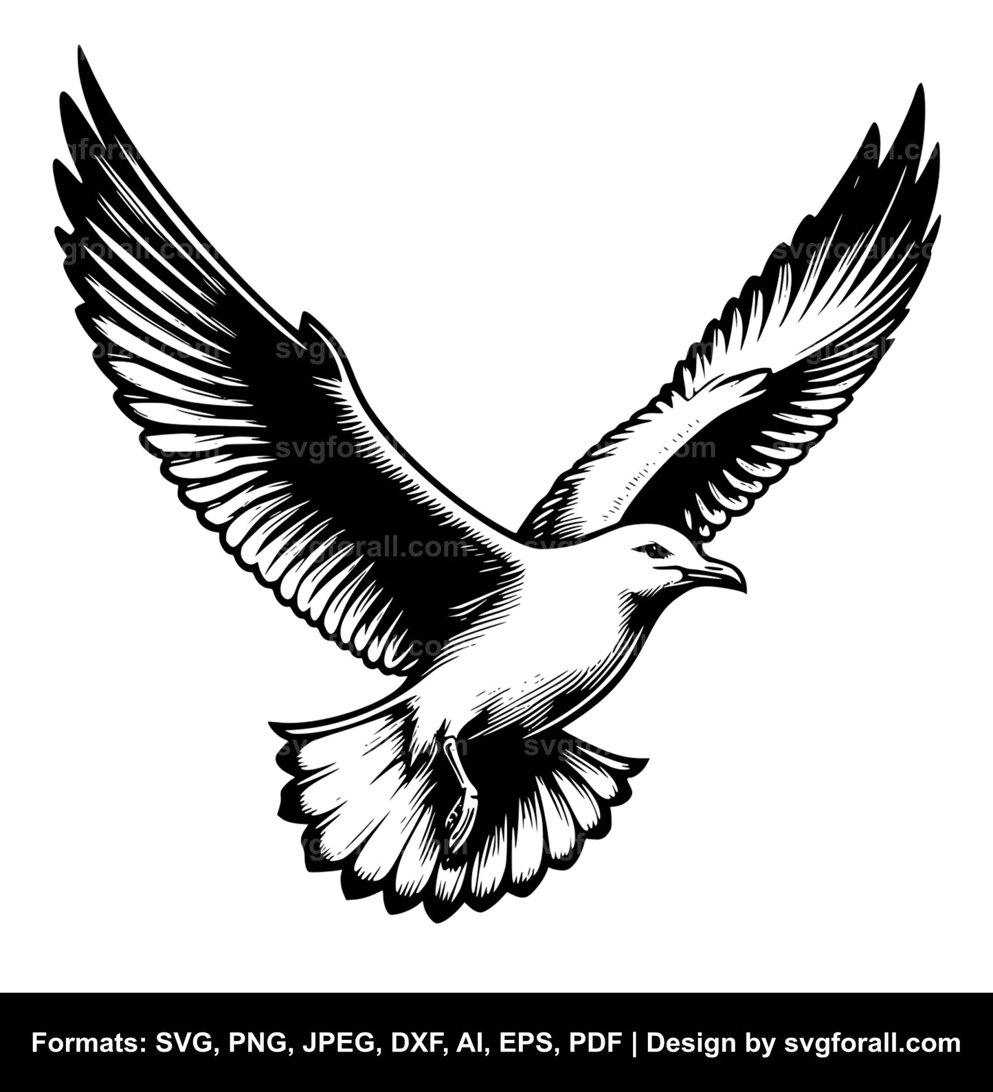 Flying Seagull Vector SVG