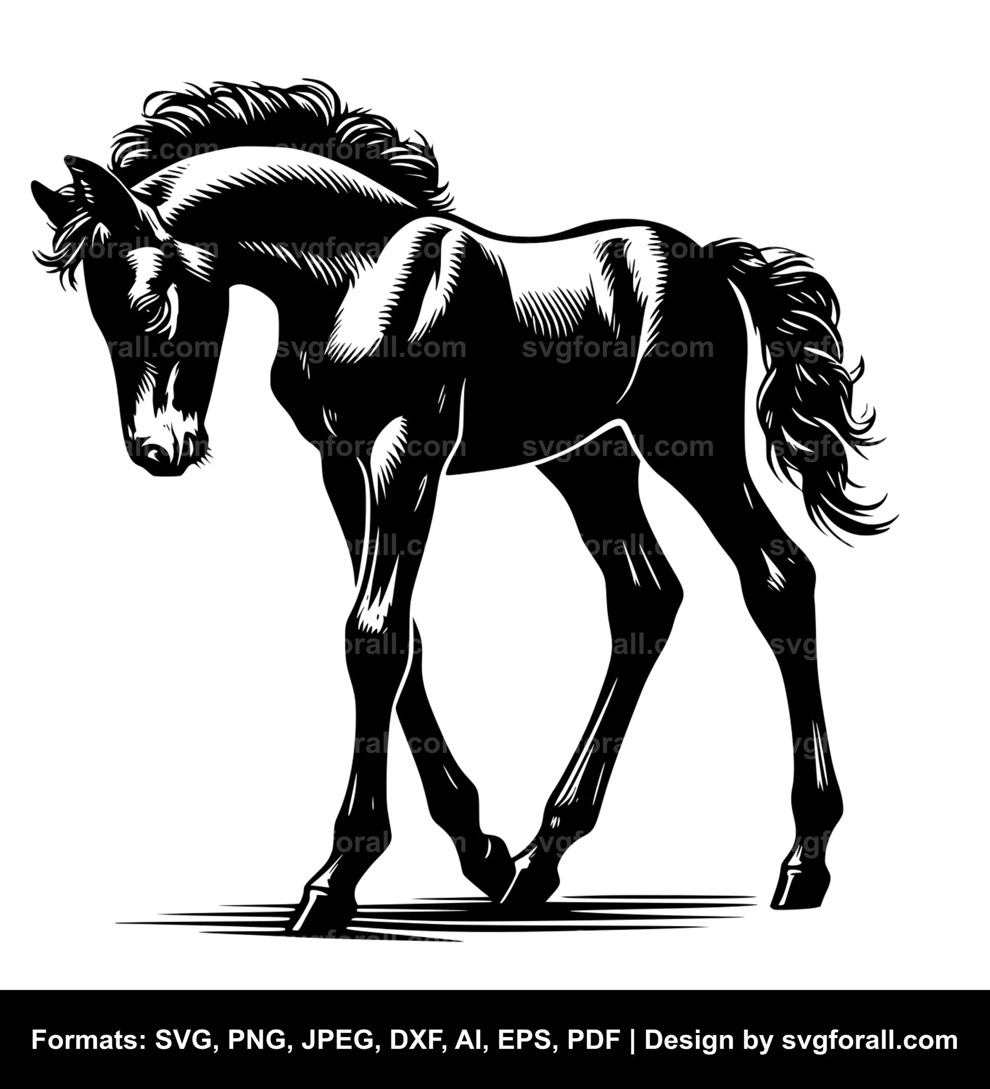 Foal Black SVG