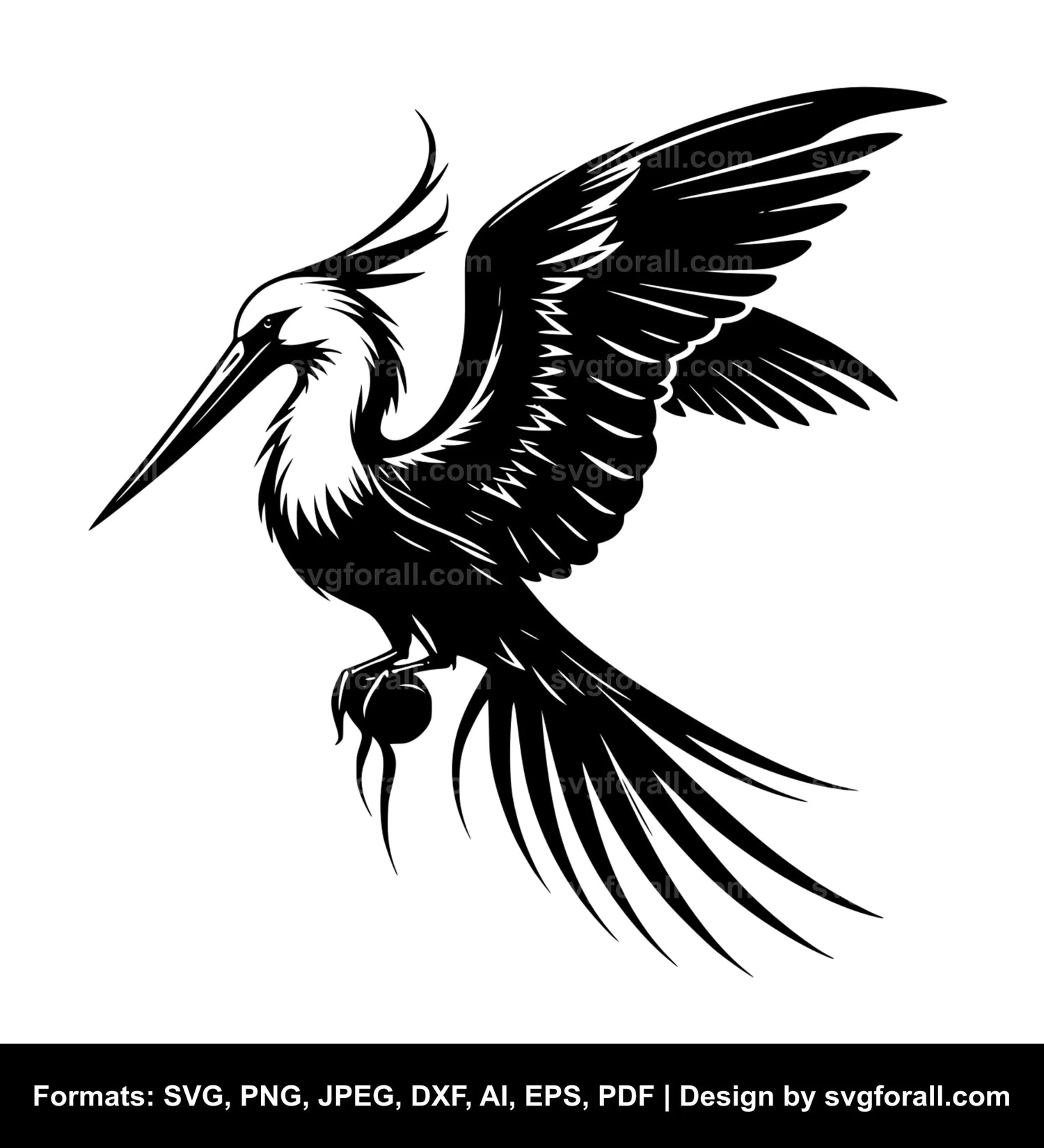 Frigate Bird Cricut SVG