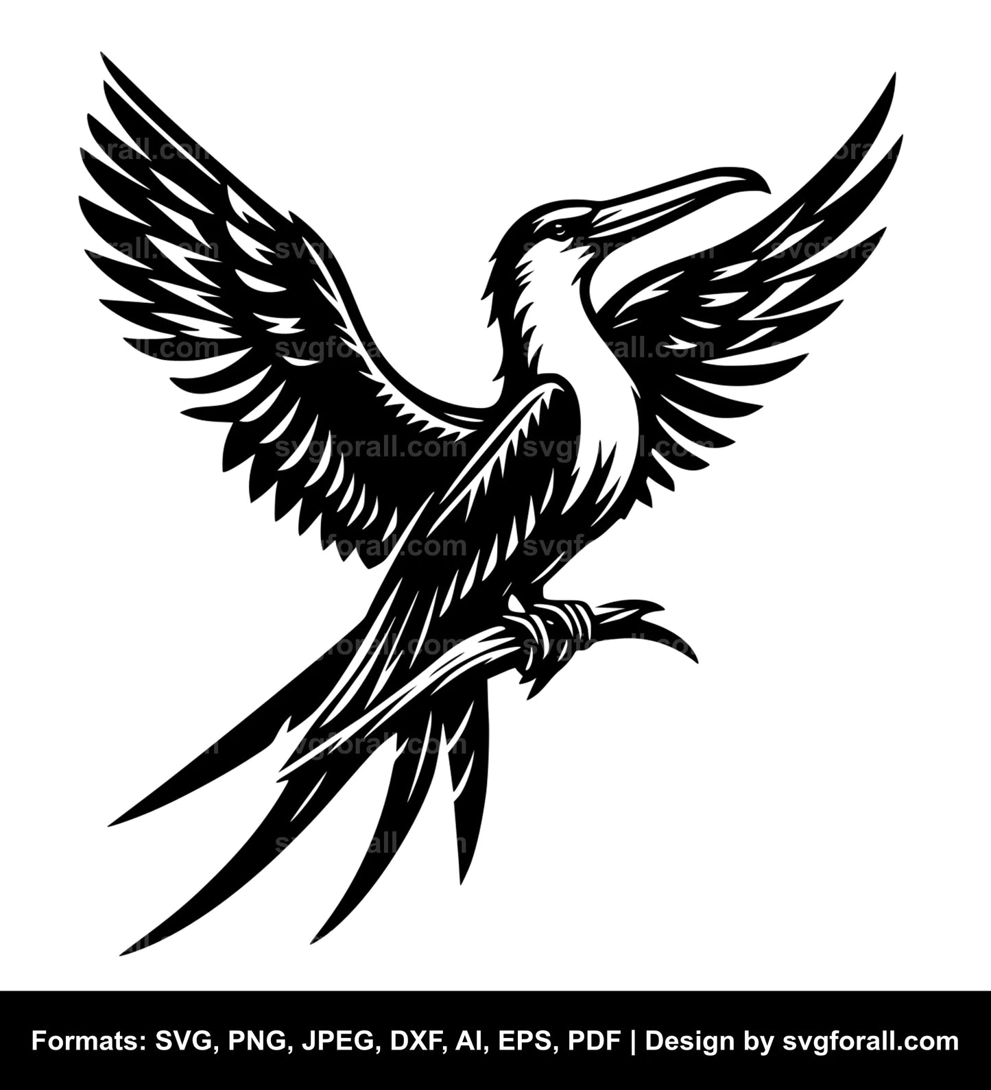 Frigate Bird SVG File