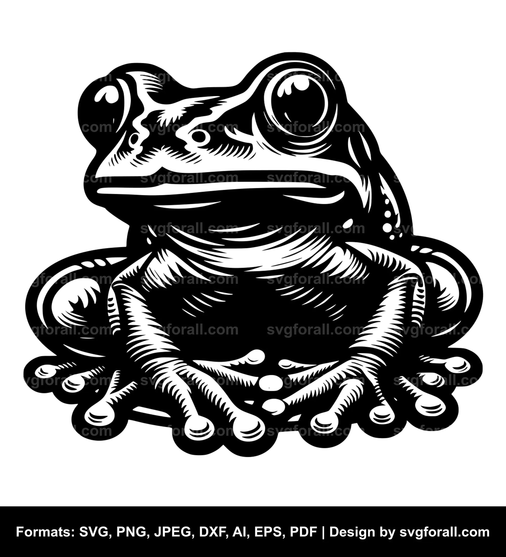 Frog Vector SVG