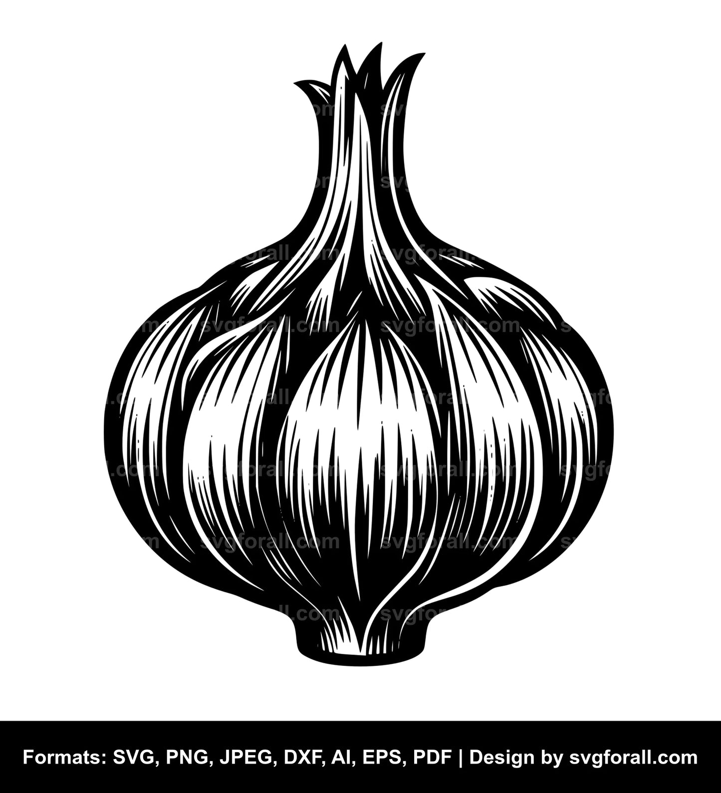 Garlic SVG Design