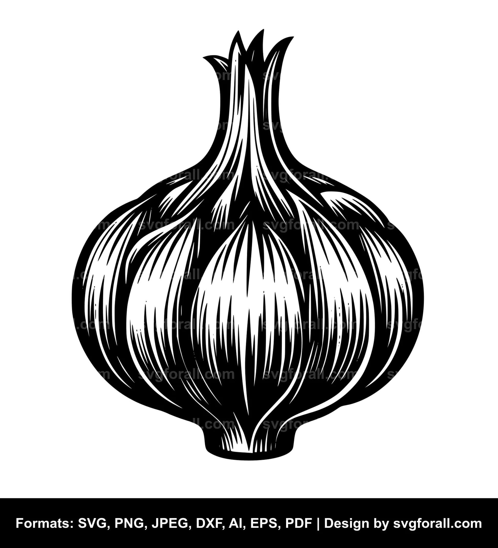 Garlic SVG Design