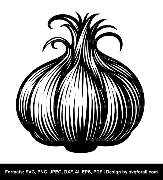 Garlic SVG Vector