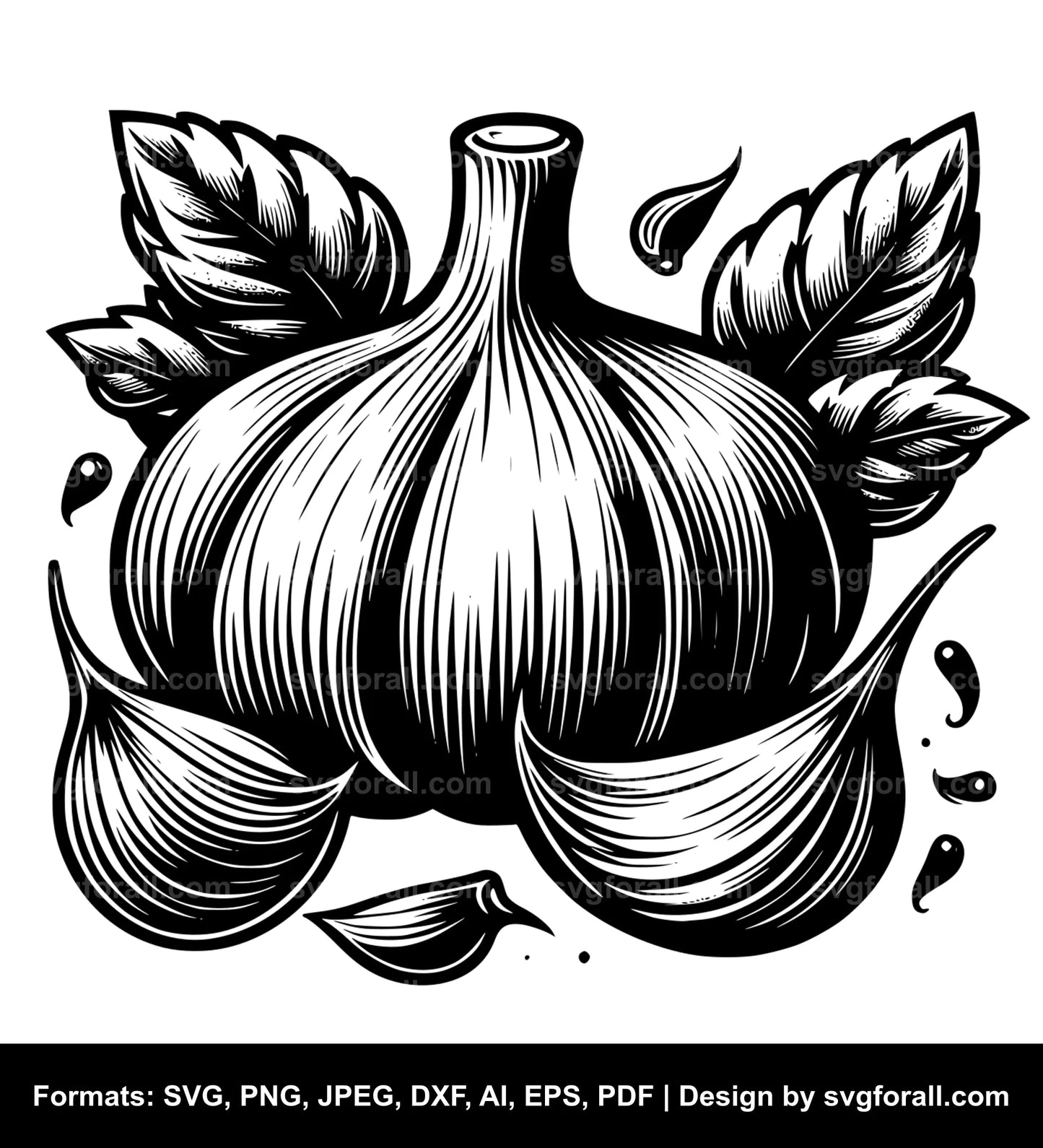 Garlic Vector SVG