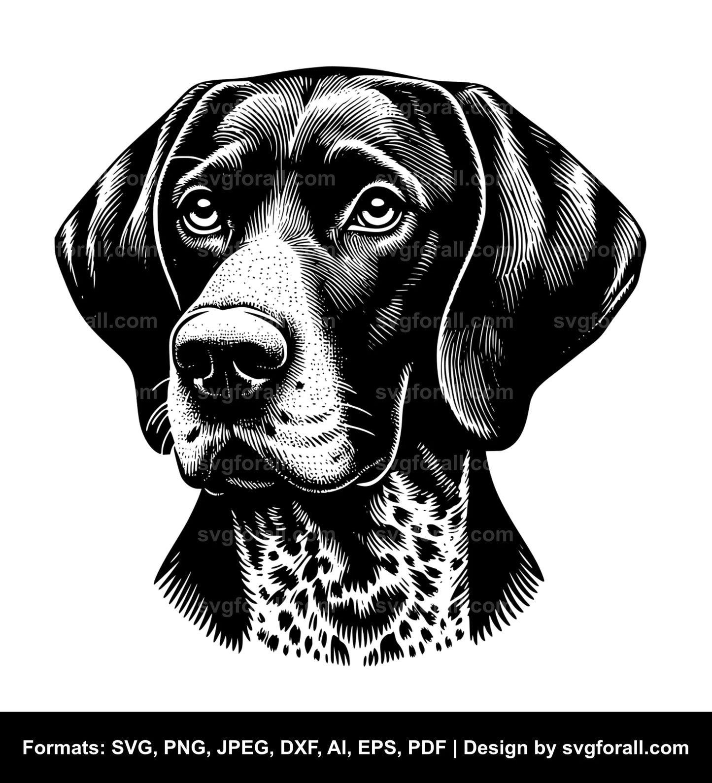 German Shorthaired Pointer Dog SVG PNG