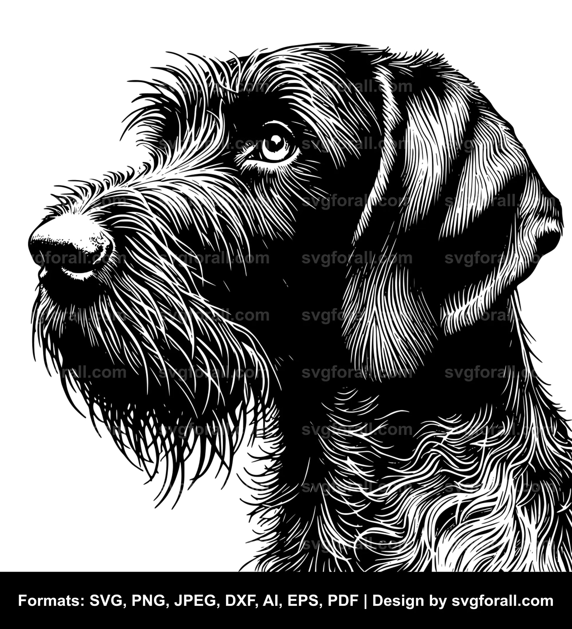 German Wirehaired Pointer Dog SVG File