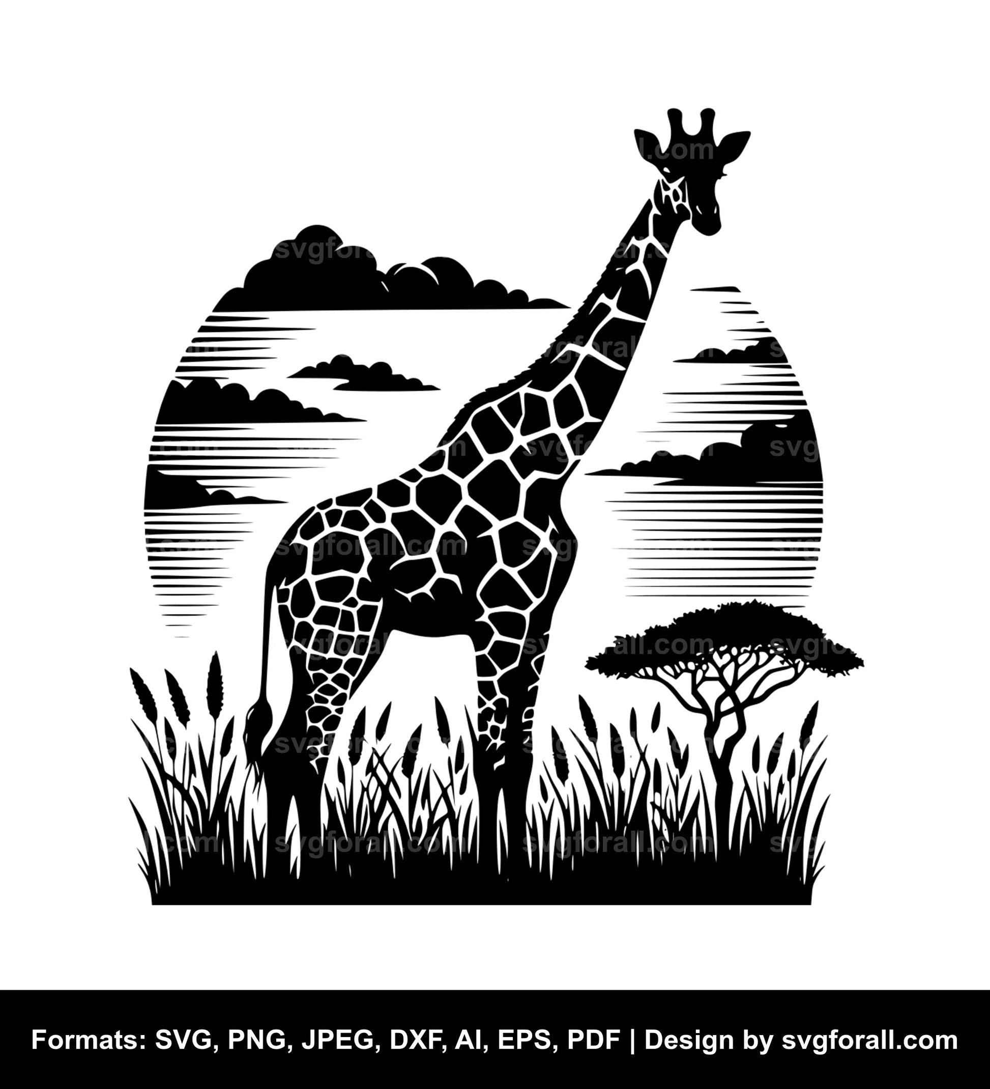 Giraffe SVG PNG Image