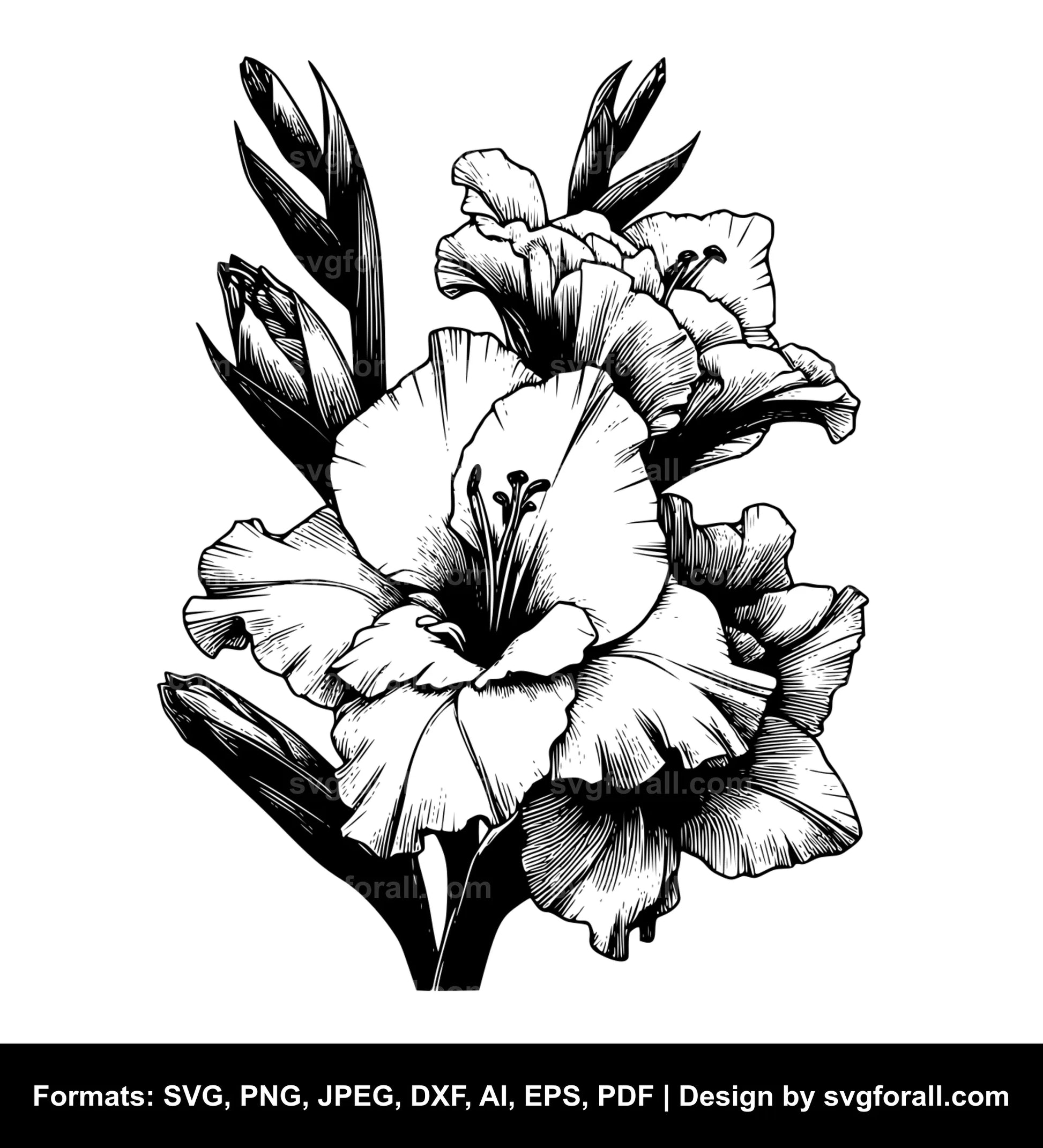 Gladiolus Flower Black SVG