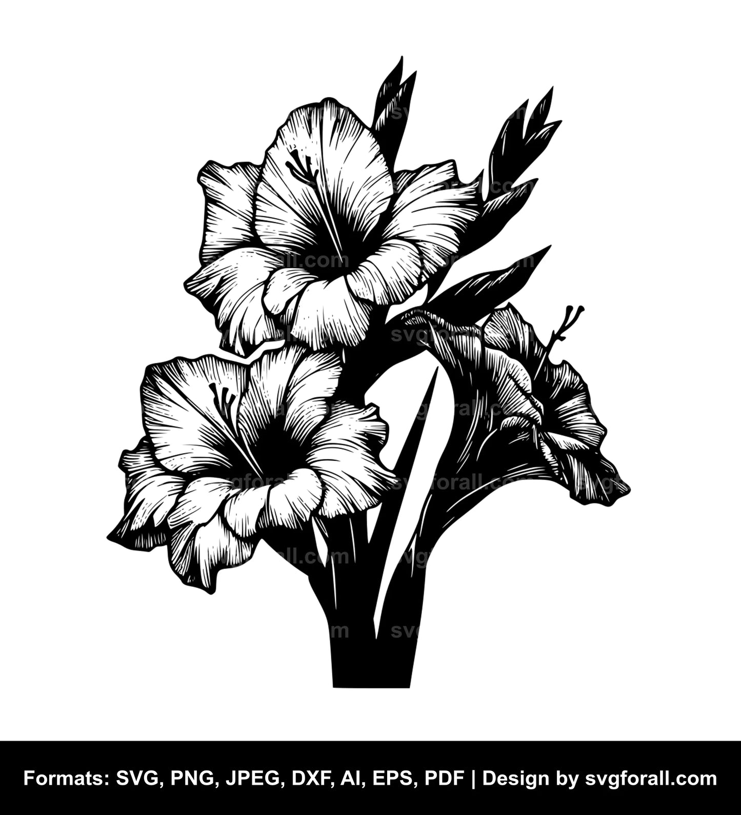 Gladiolus Flower Clipart SVG