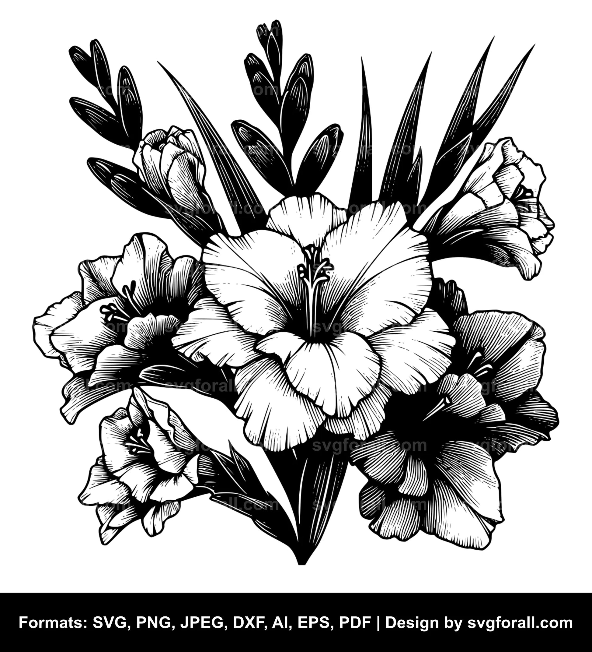 Gladiolus Flower SVG