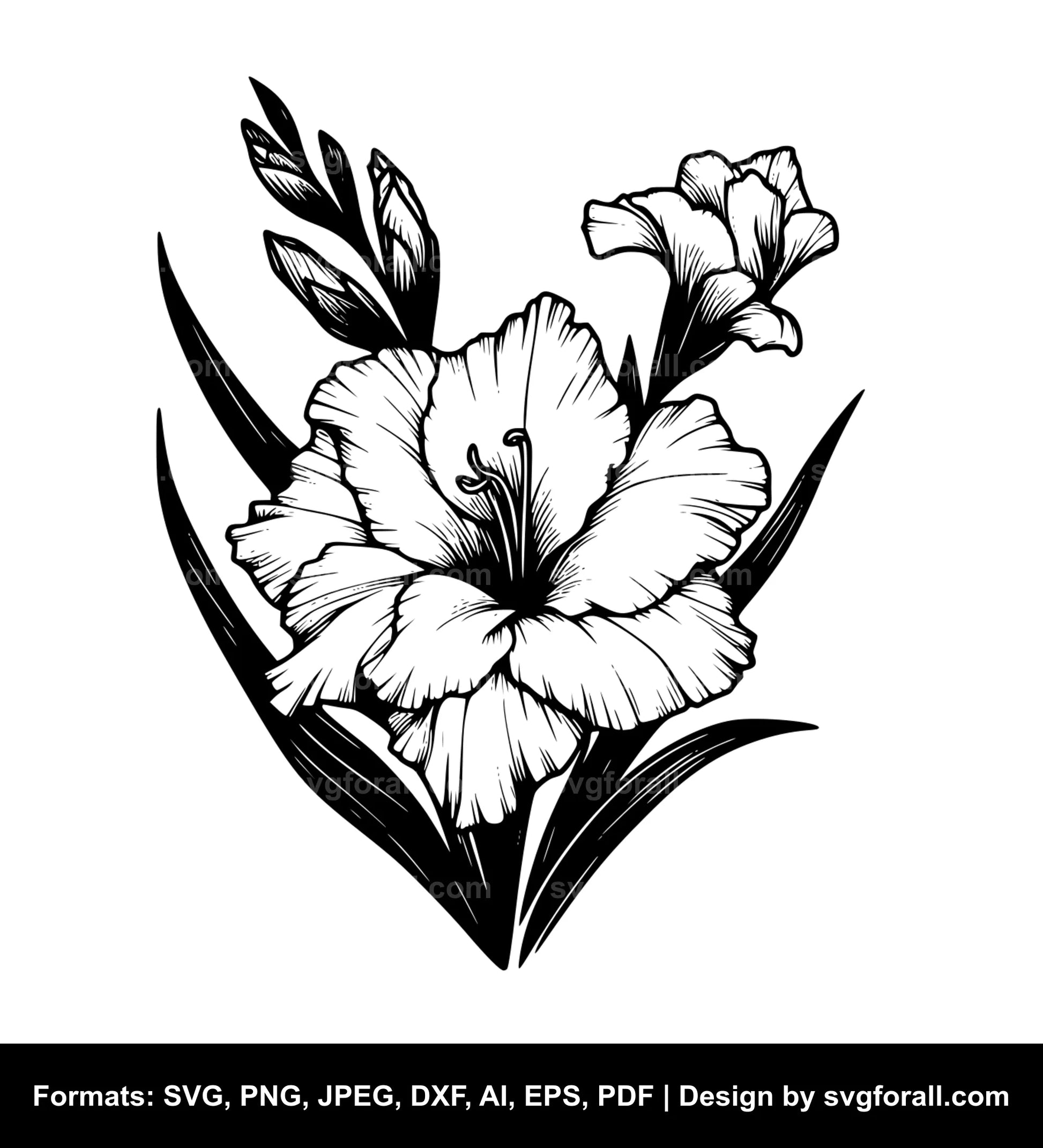 Gladiolus Flower SVG Clipart