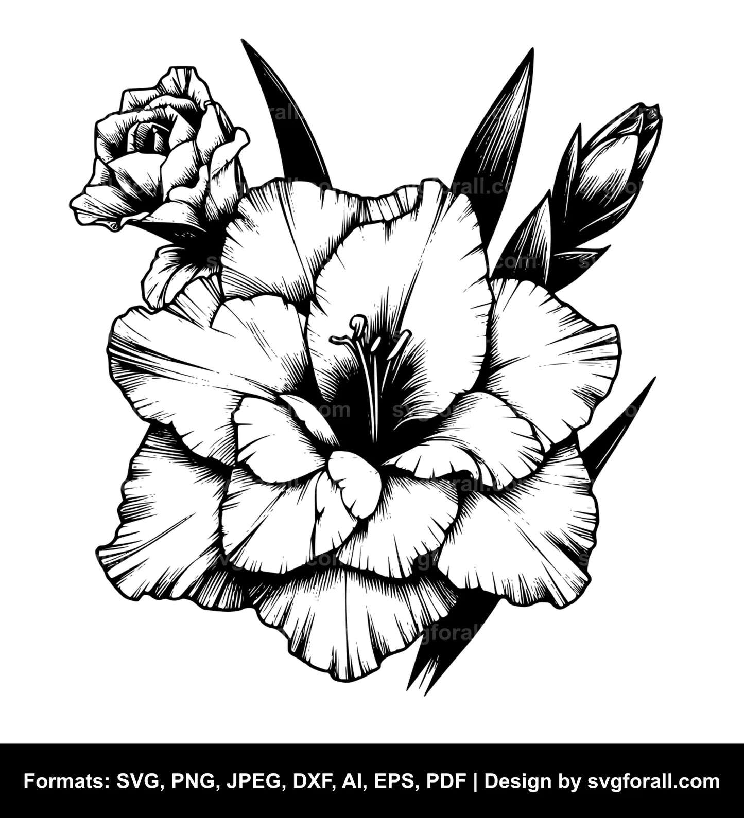 Gladiolus Flower SVG File