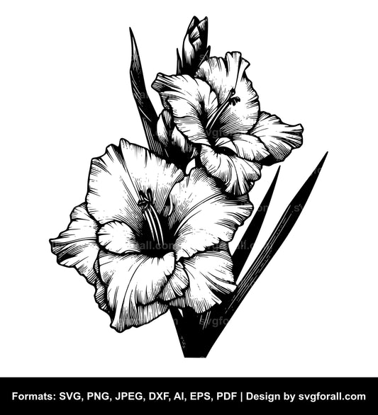 Gladiolus Flower SVG PNG