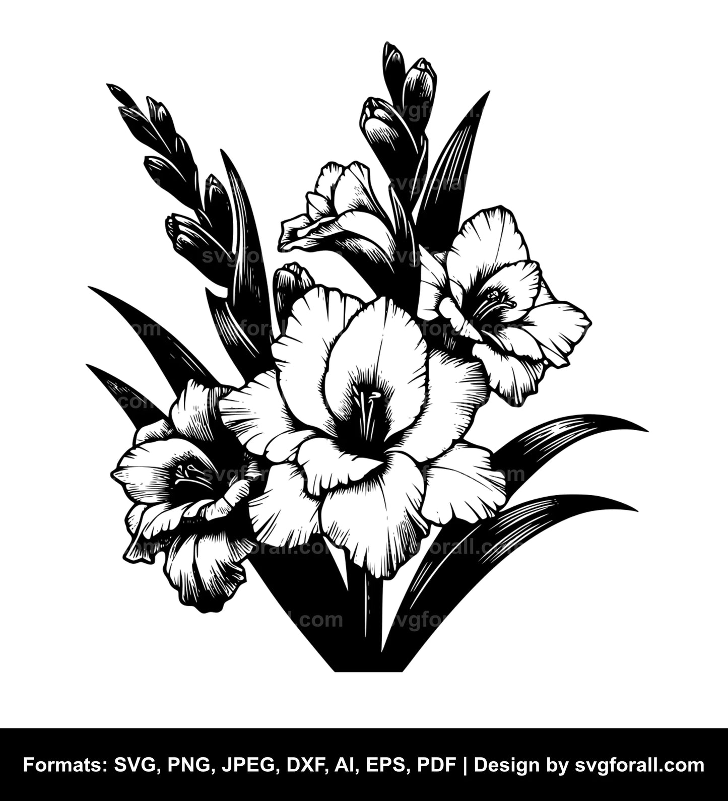 Gladiolus Flower SVG Vector