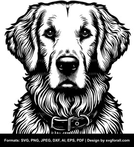 Golden Retriever Dog SVG