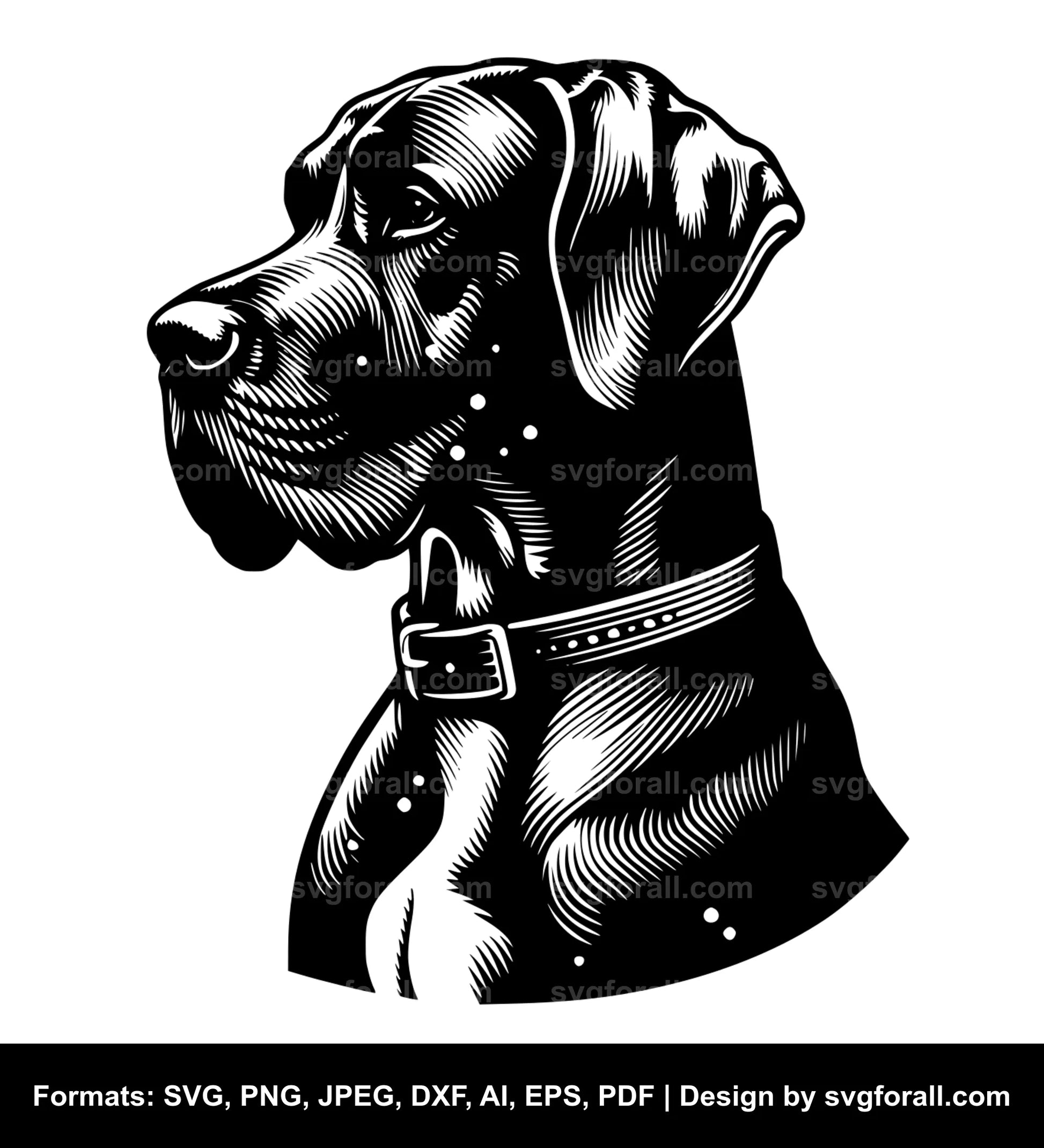 Great Dane Dog Vector SVG