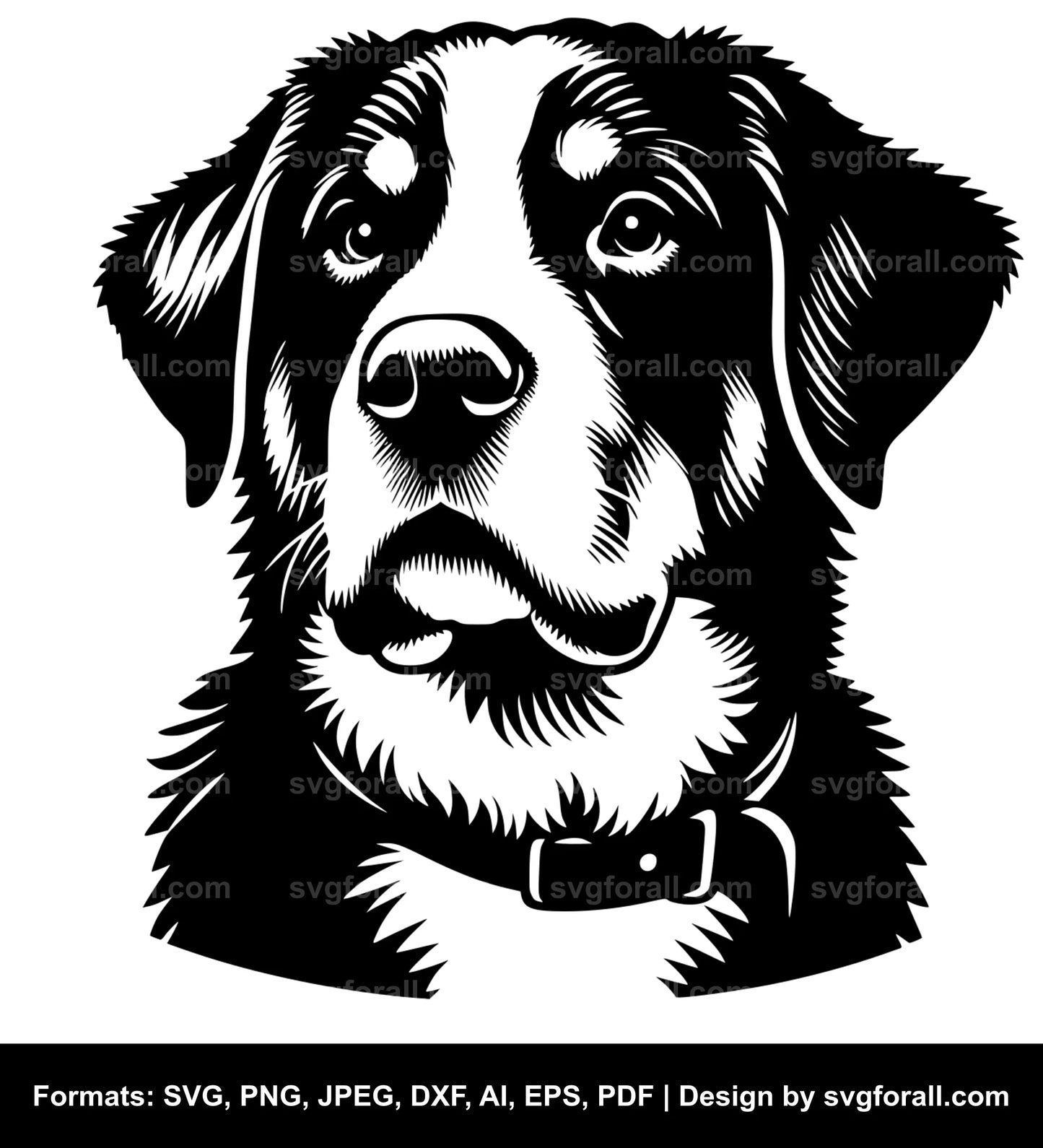 Greater Swiss Mountain Dog SVG PNG