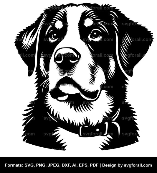 Greater Swiss Mountain Dog SVG PNG