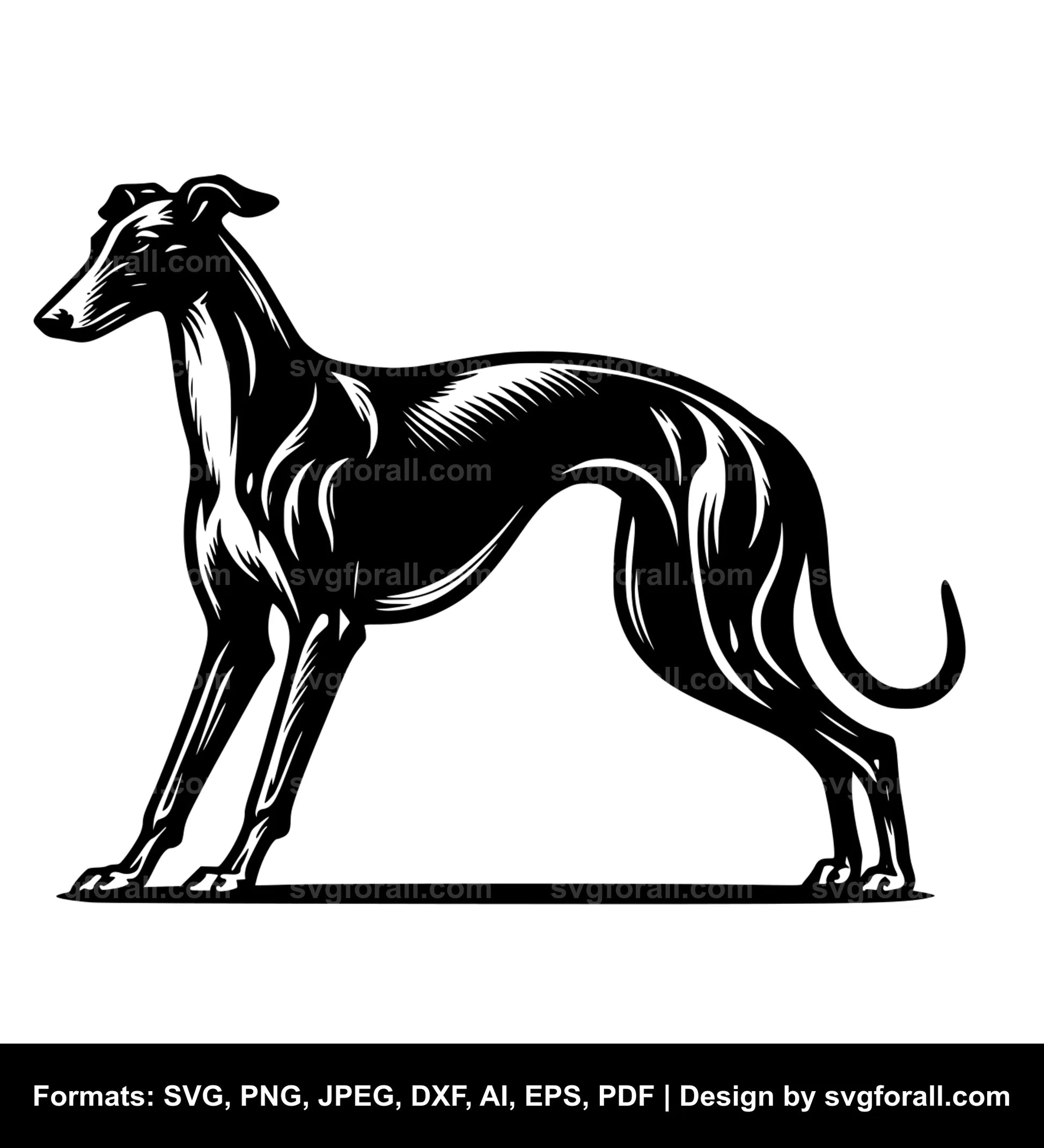 Greyhound Dog Vector SVG