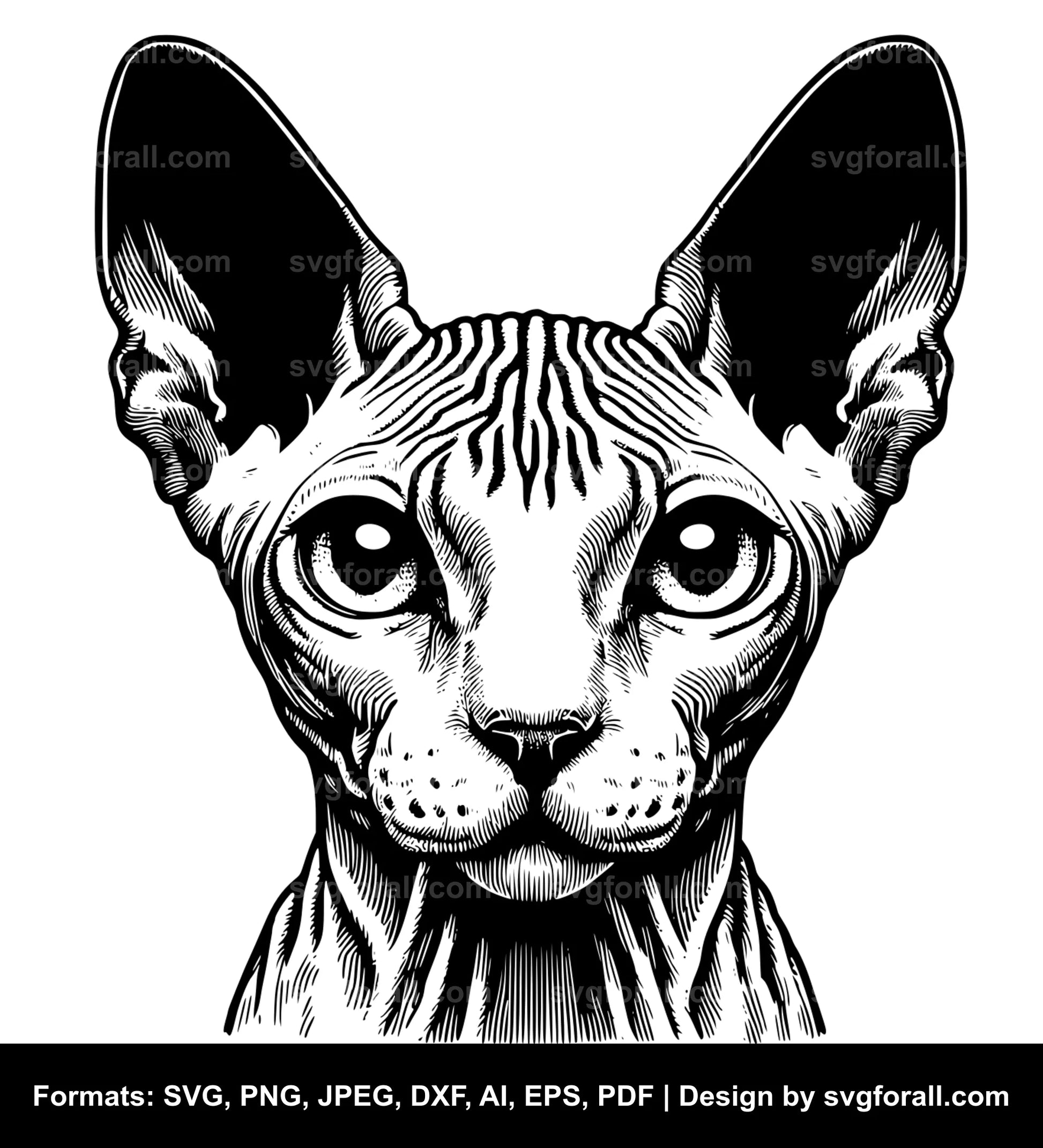 Hairless Cat SVG File