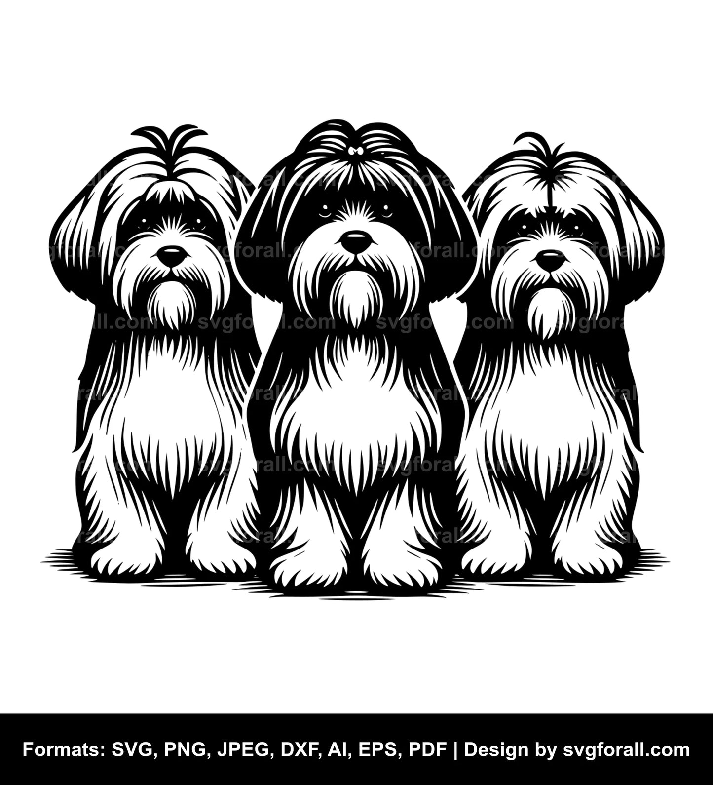 Havanese Dog Black SVG