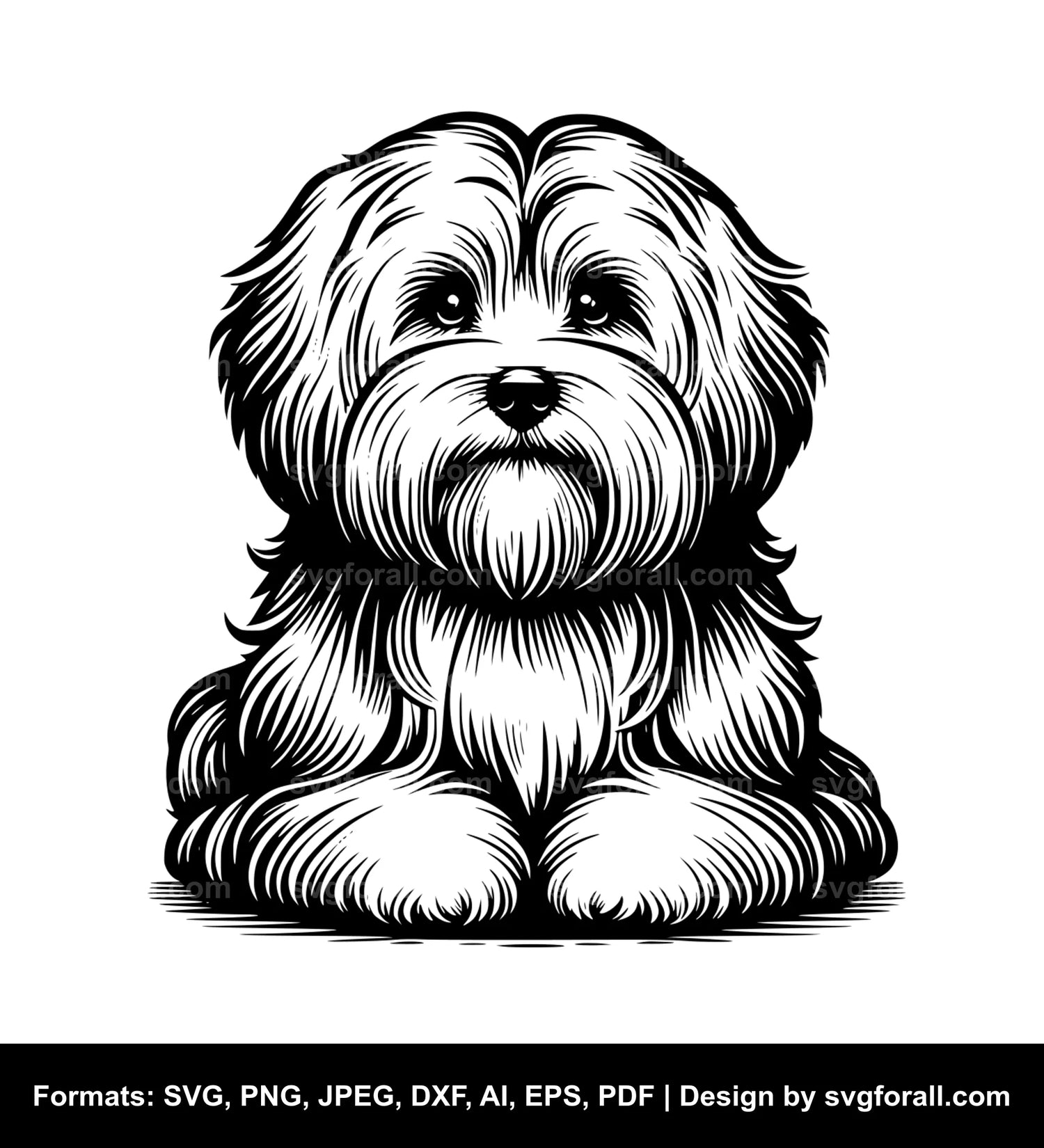 Havanese Dog Cricut SVG