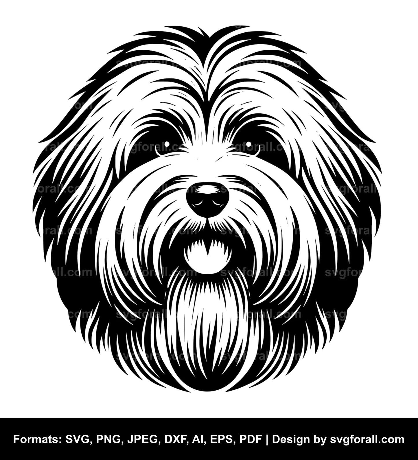 Havanese Dog SVG