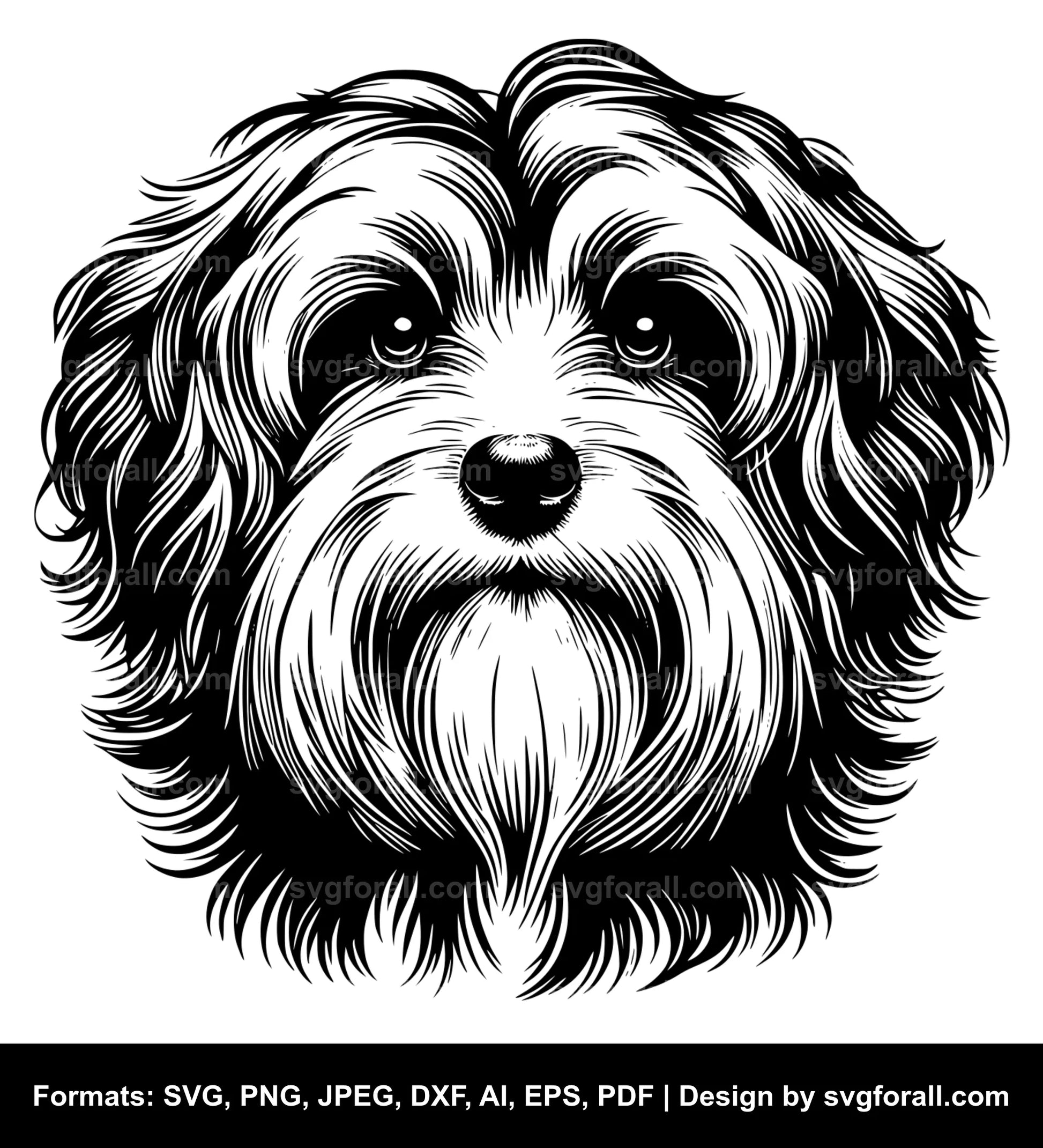 Havanese Dog SVG Vector