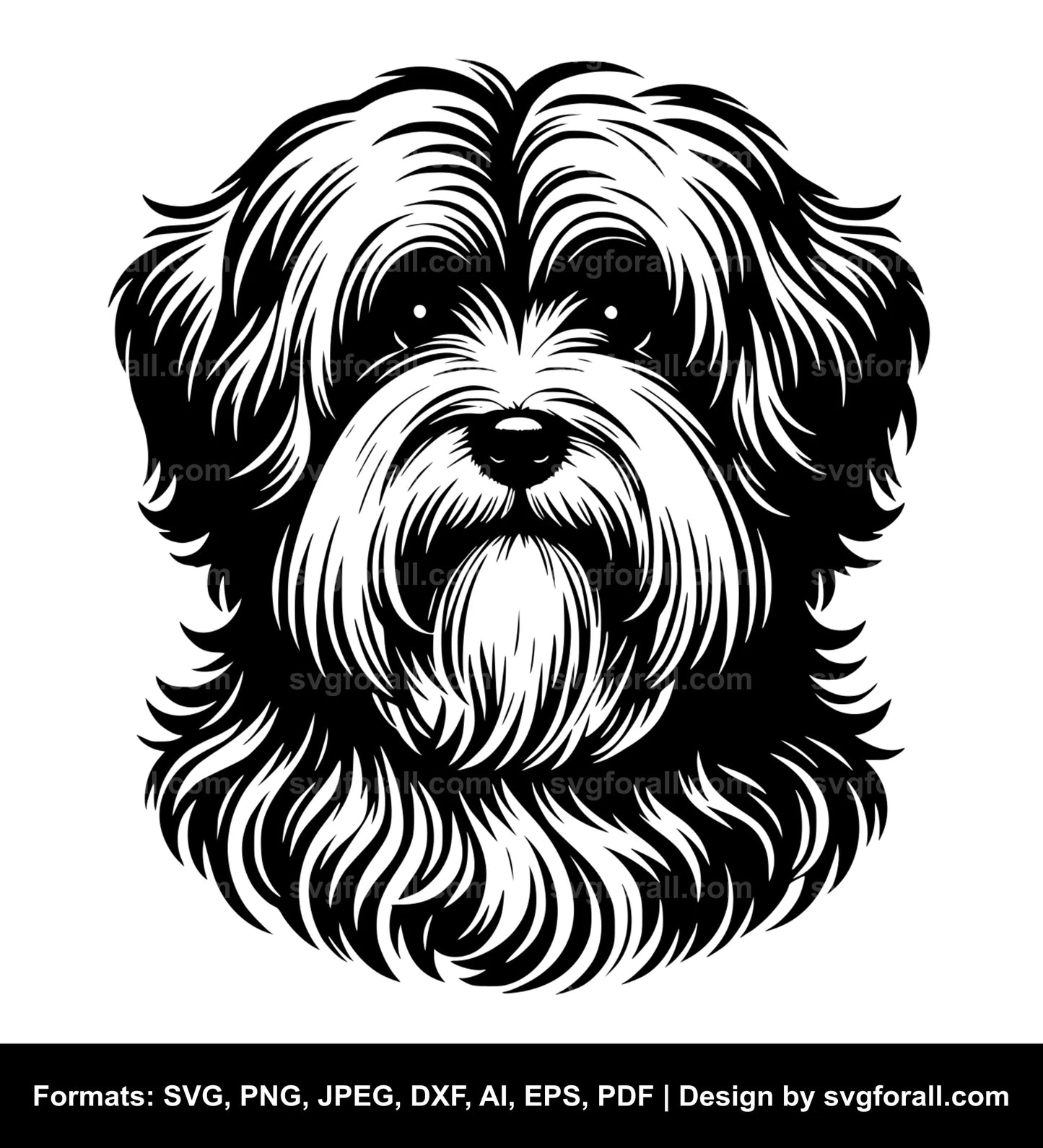 Havanese Dog Vector SVG