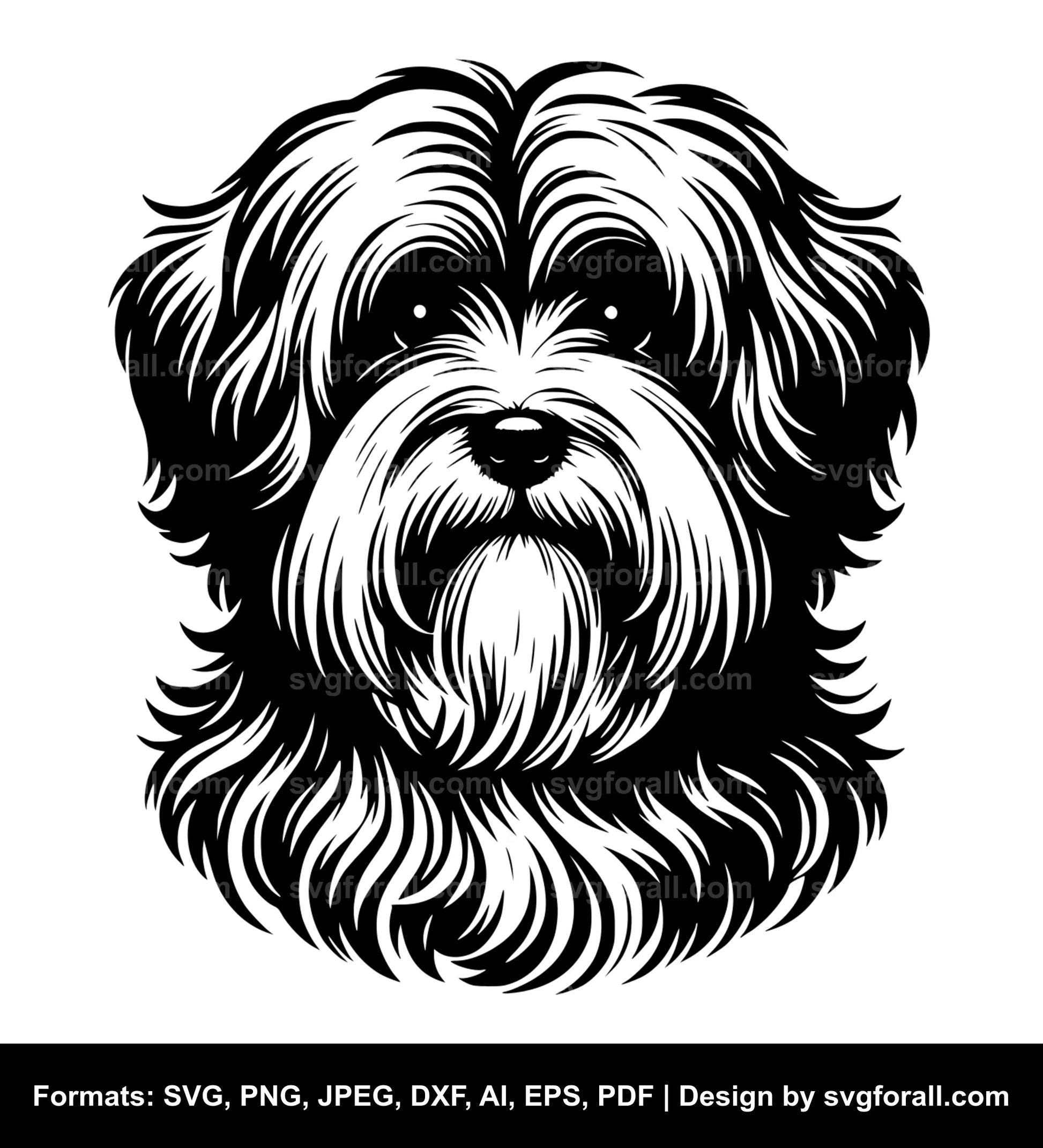 Havanese Dog Vector SVG