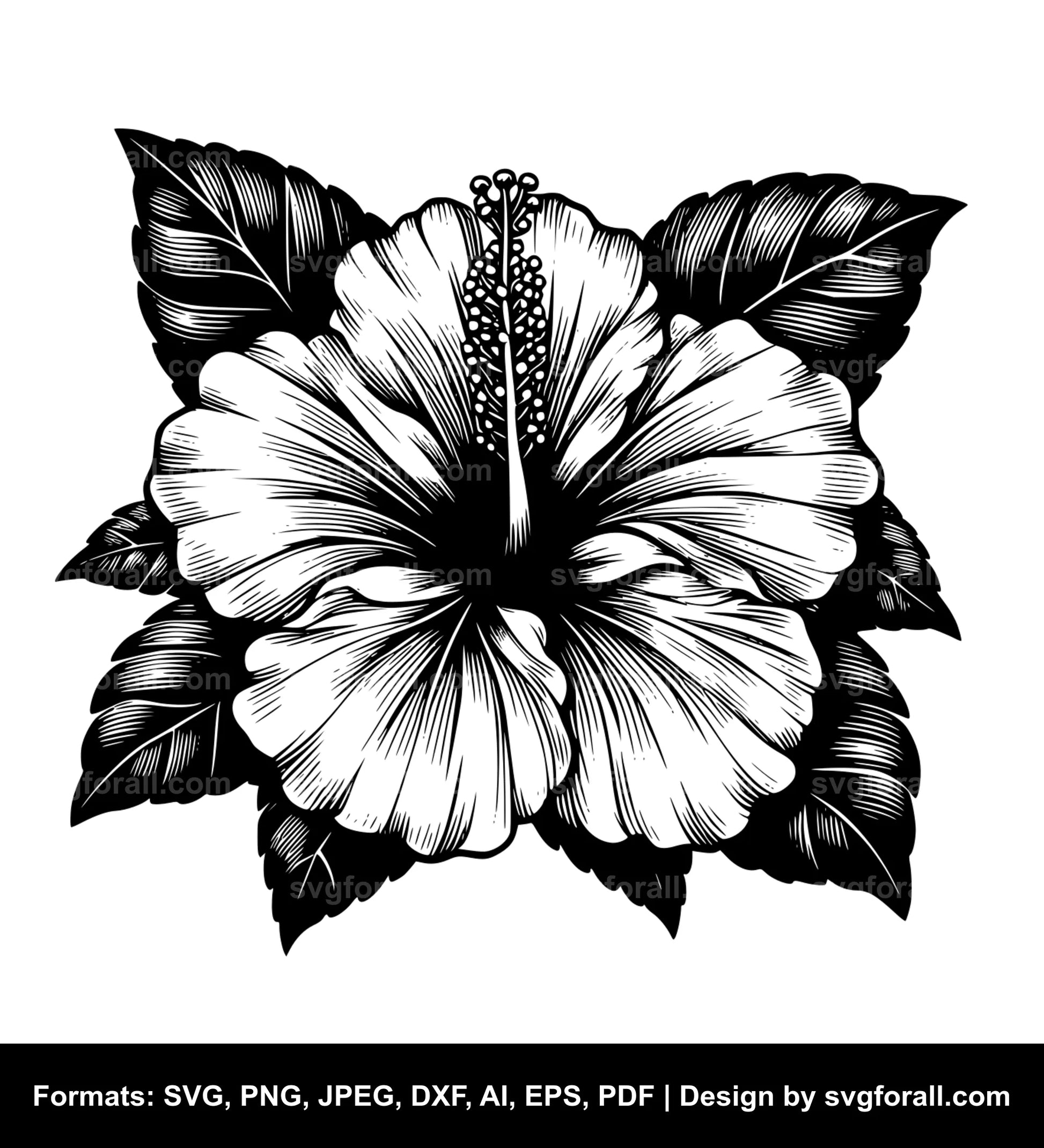 Hibiscus Flower SVG Clipart