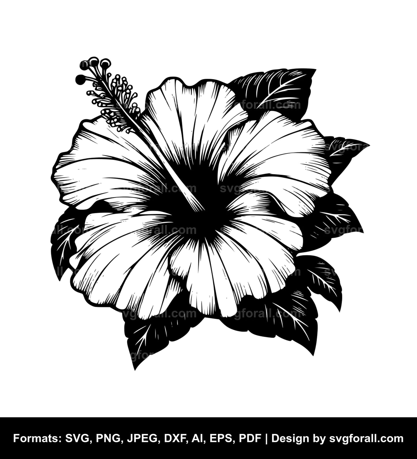 Hibiscus Flower SVG Cut File