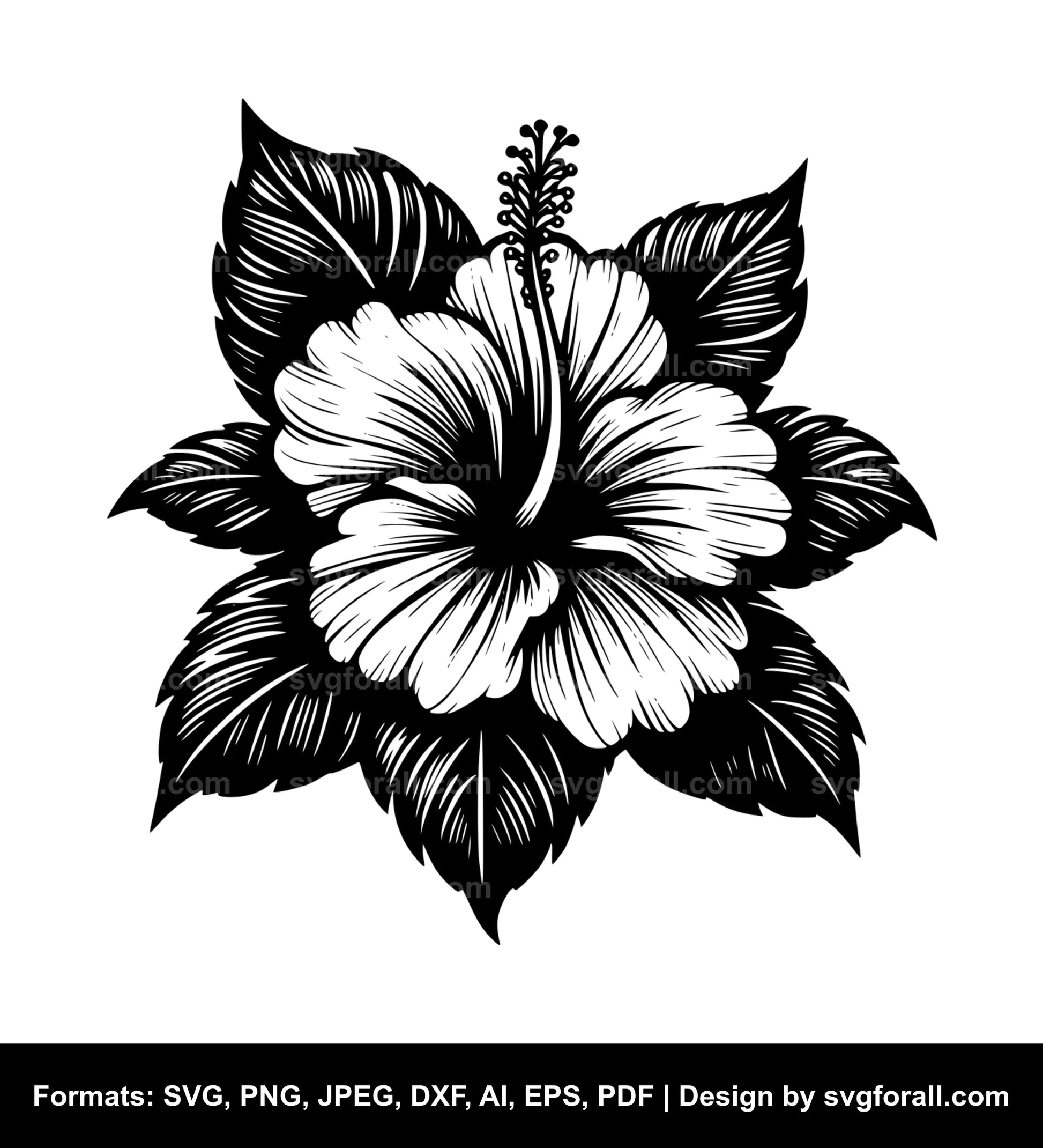 Hibiscus Flower SVG Design