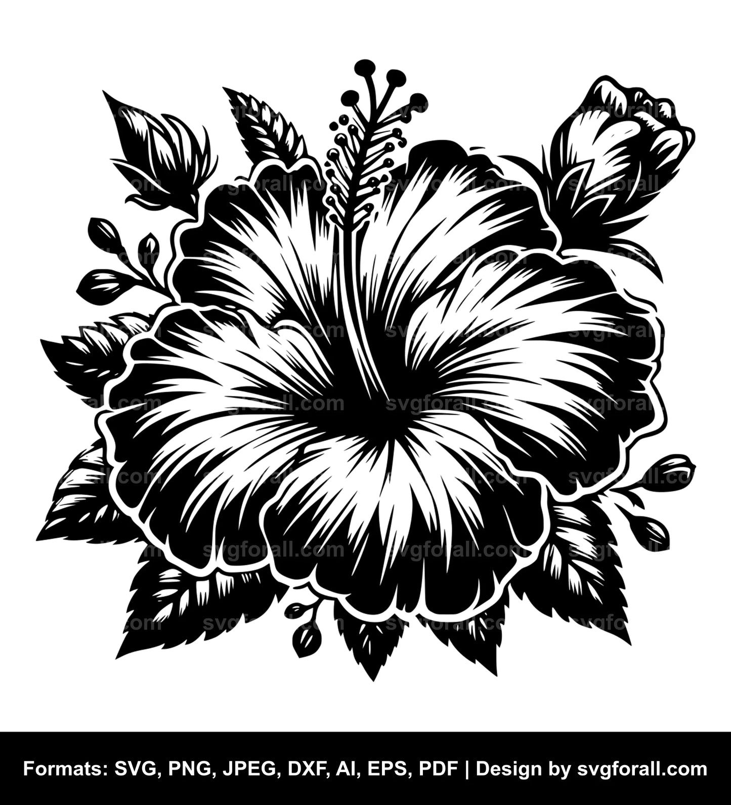 Hibiscus Flower SVG PNG