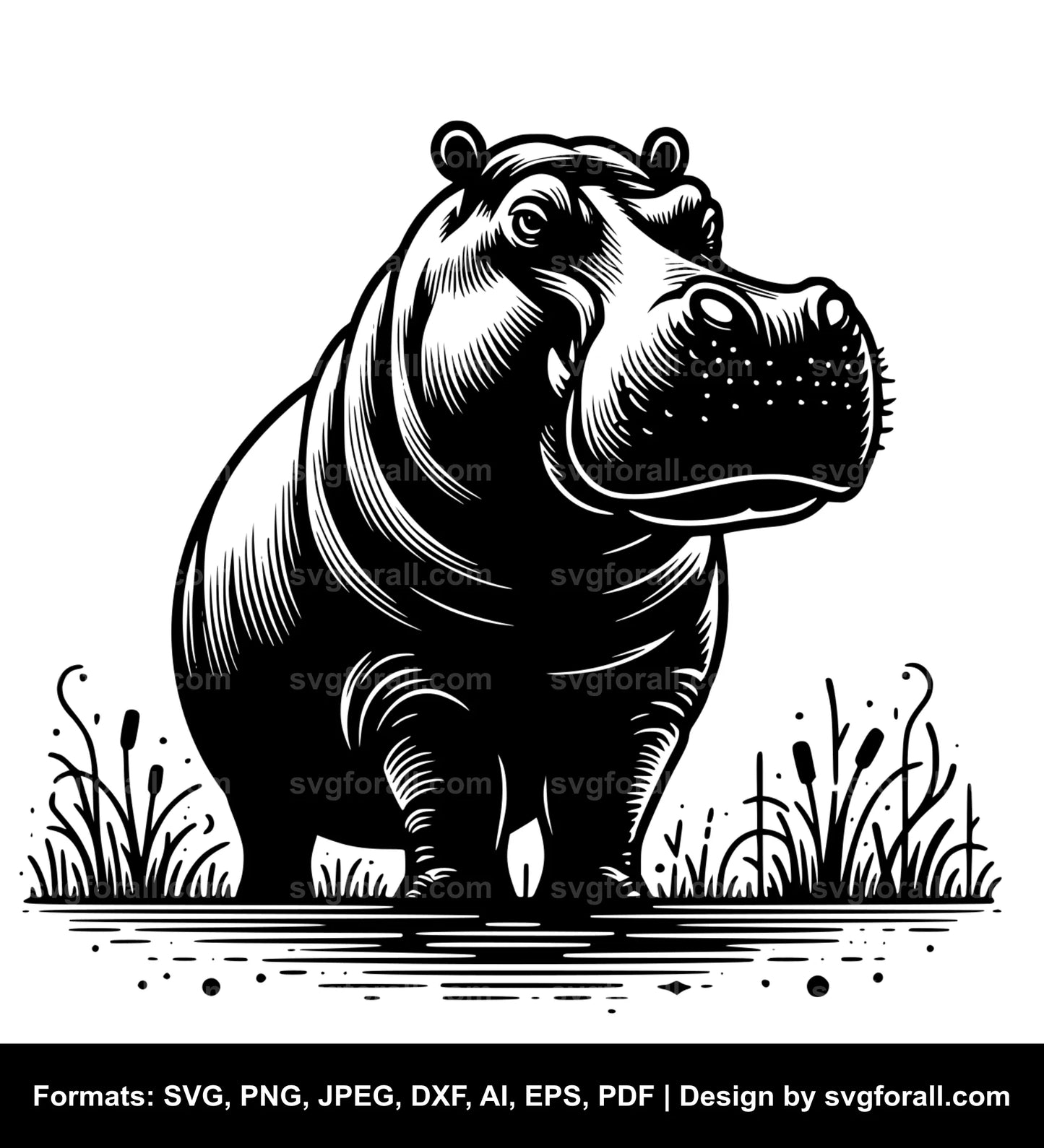 Hippopotamus Vector SVG