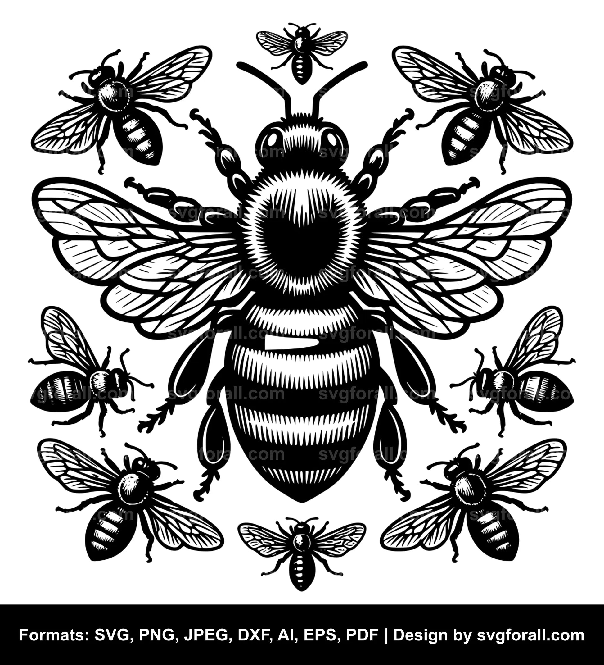 Honey Bee SVG PNG