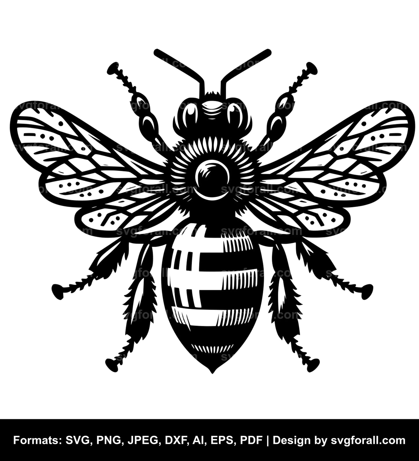 Honey Bee SVG Vector