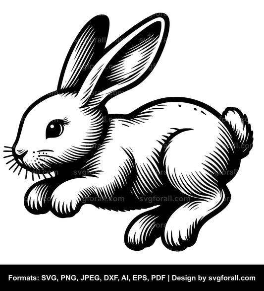 Hopping Bunny Vector SVG