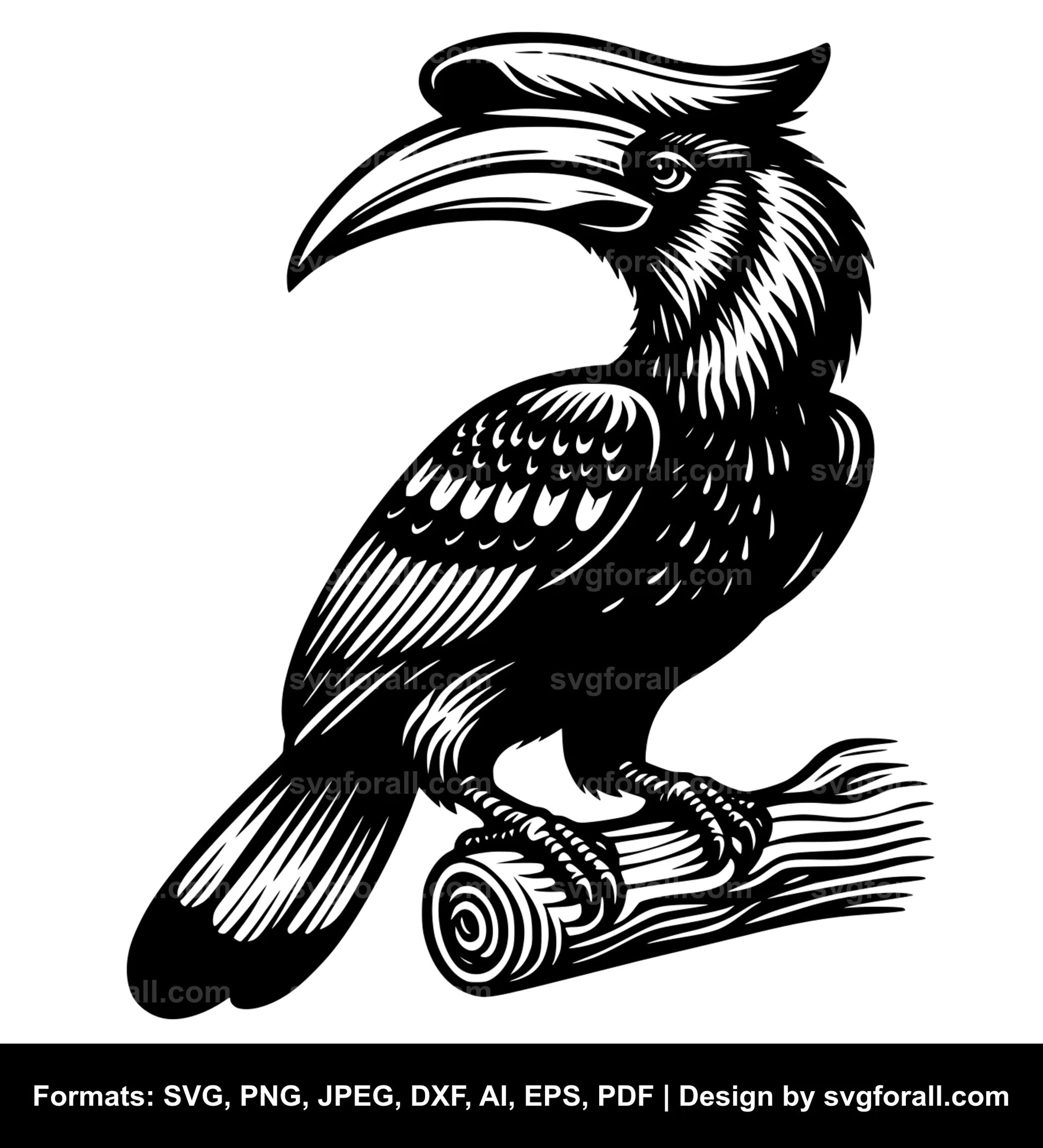 Hornbill Black SVG