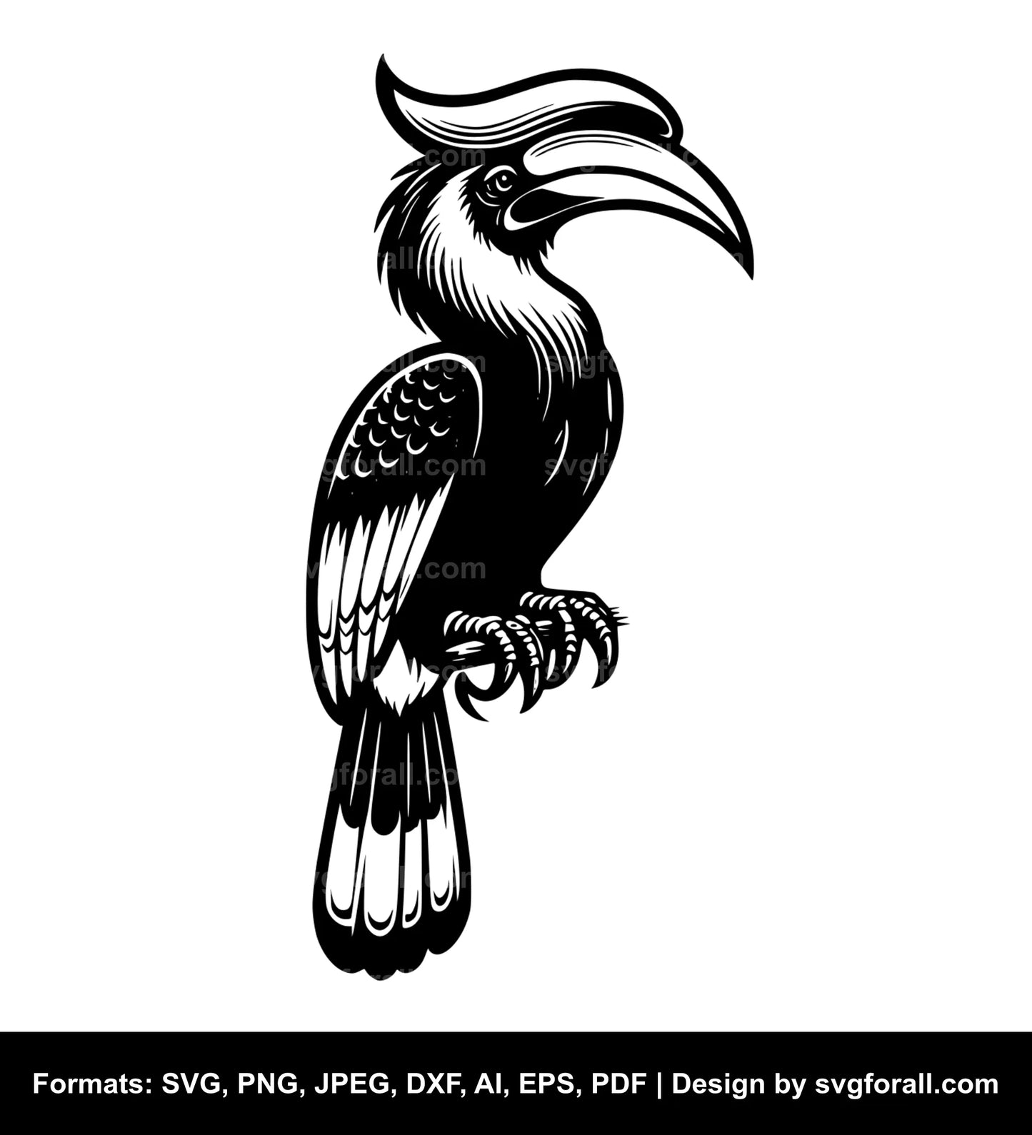 Hornbill Vector SVG