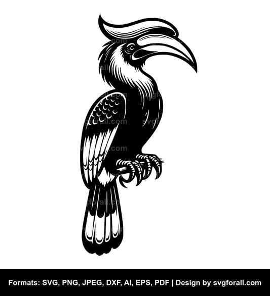 Hornbill Vector SVG