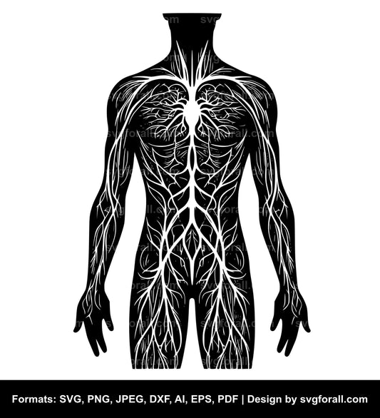 Human Body SVG