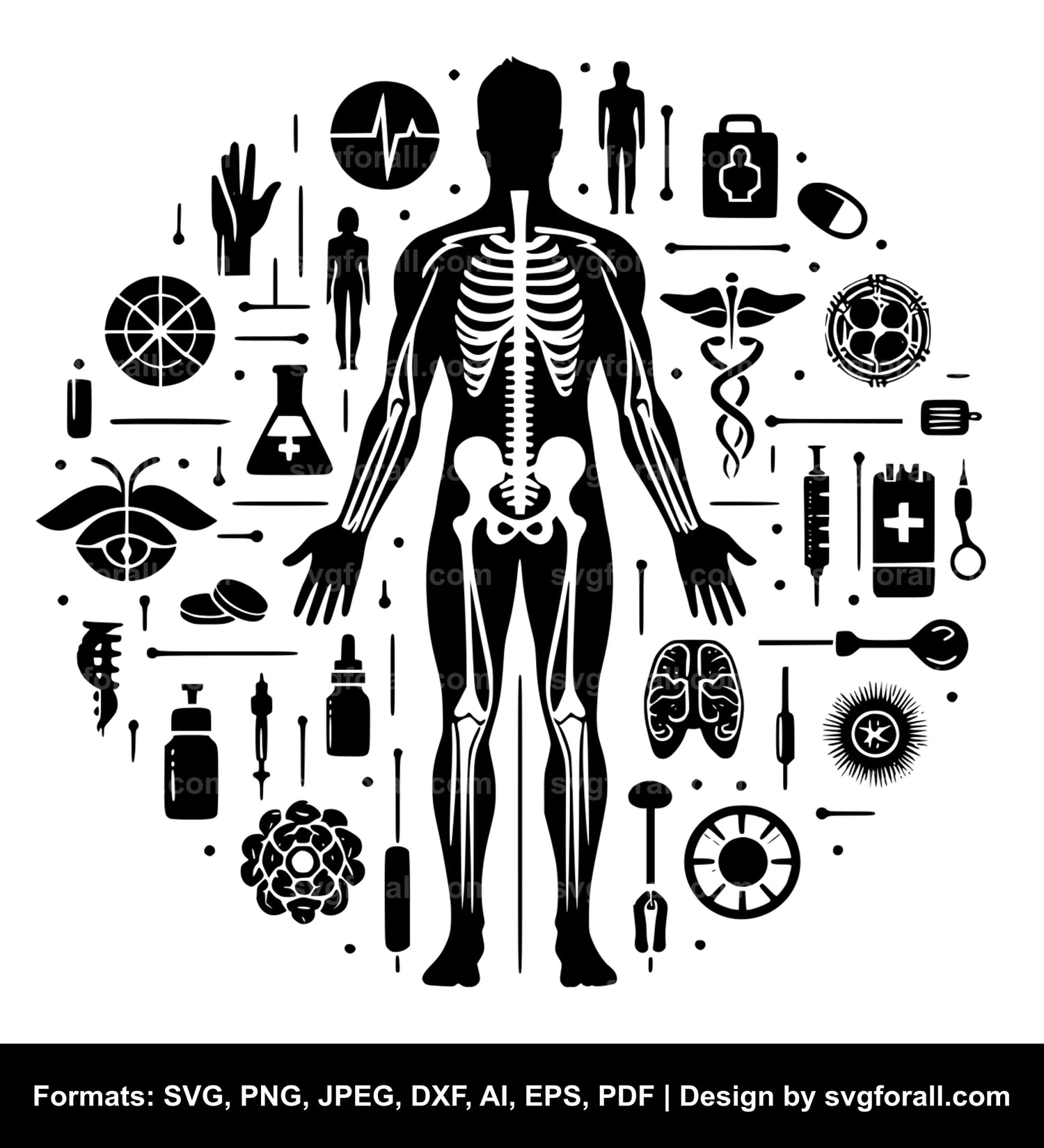 Human Body Vector SVG