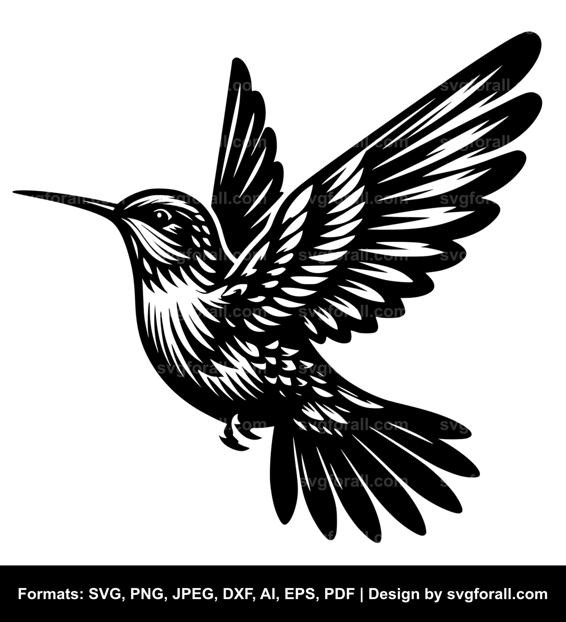 Humming Bird SVG