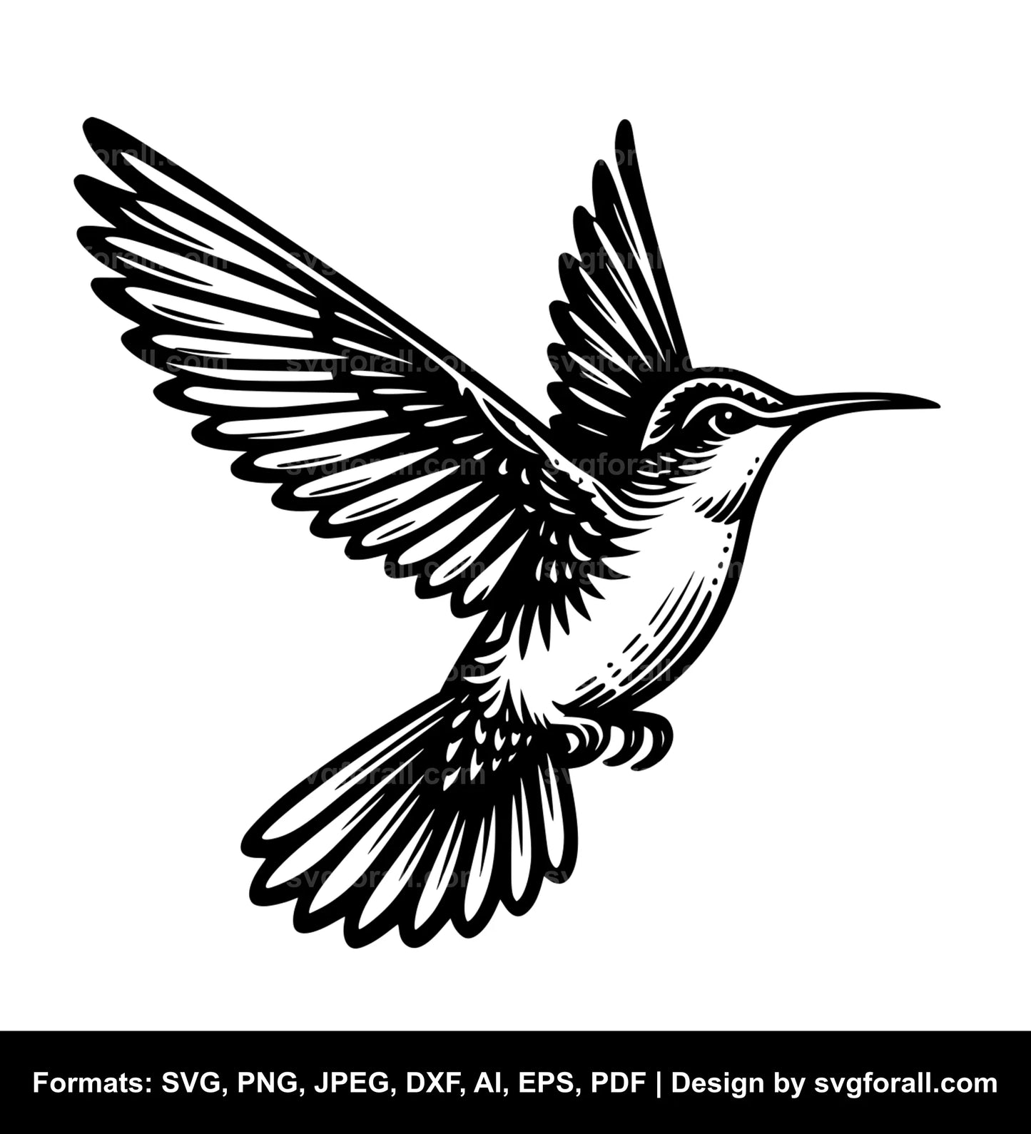 Humming Bird Vector SVG