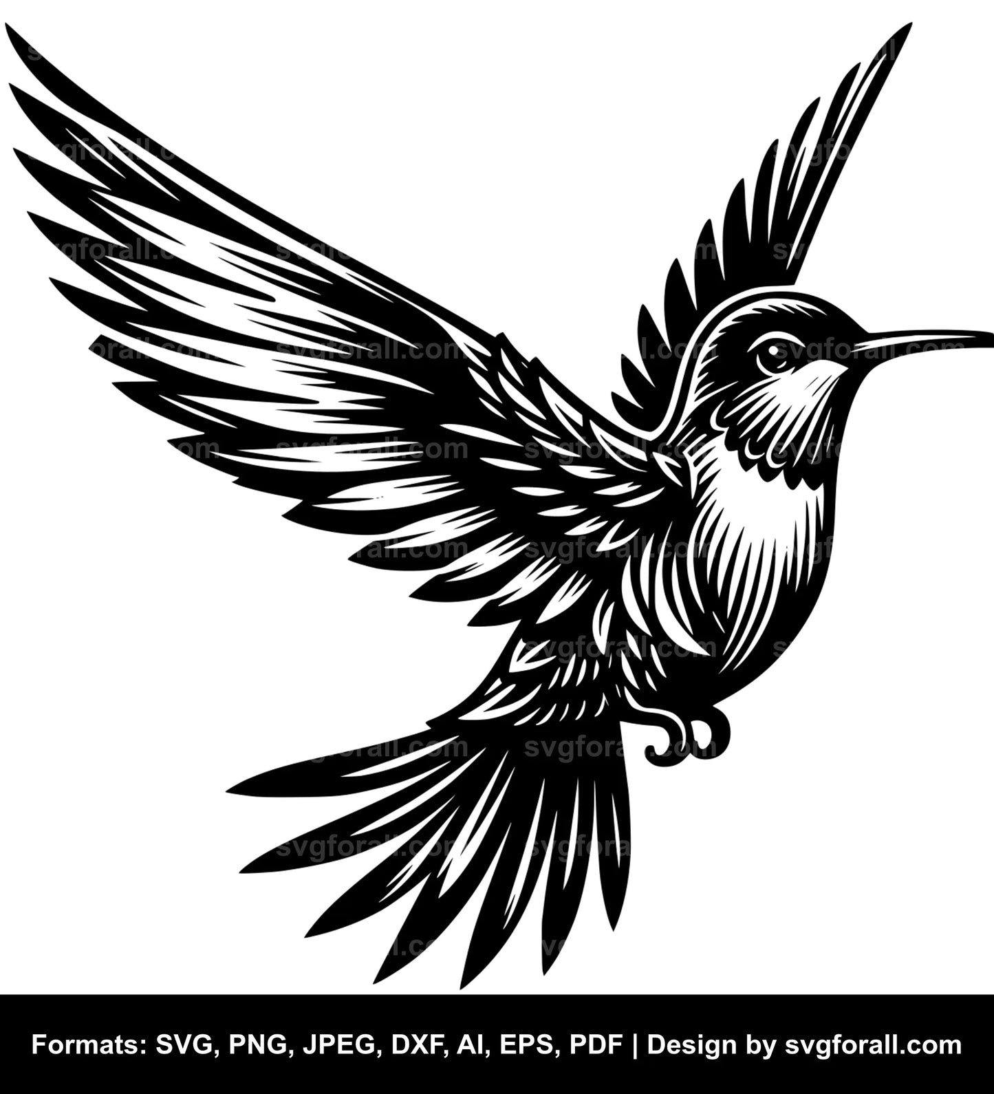 Hummingbird SVG