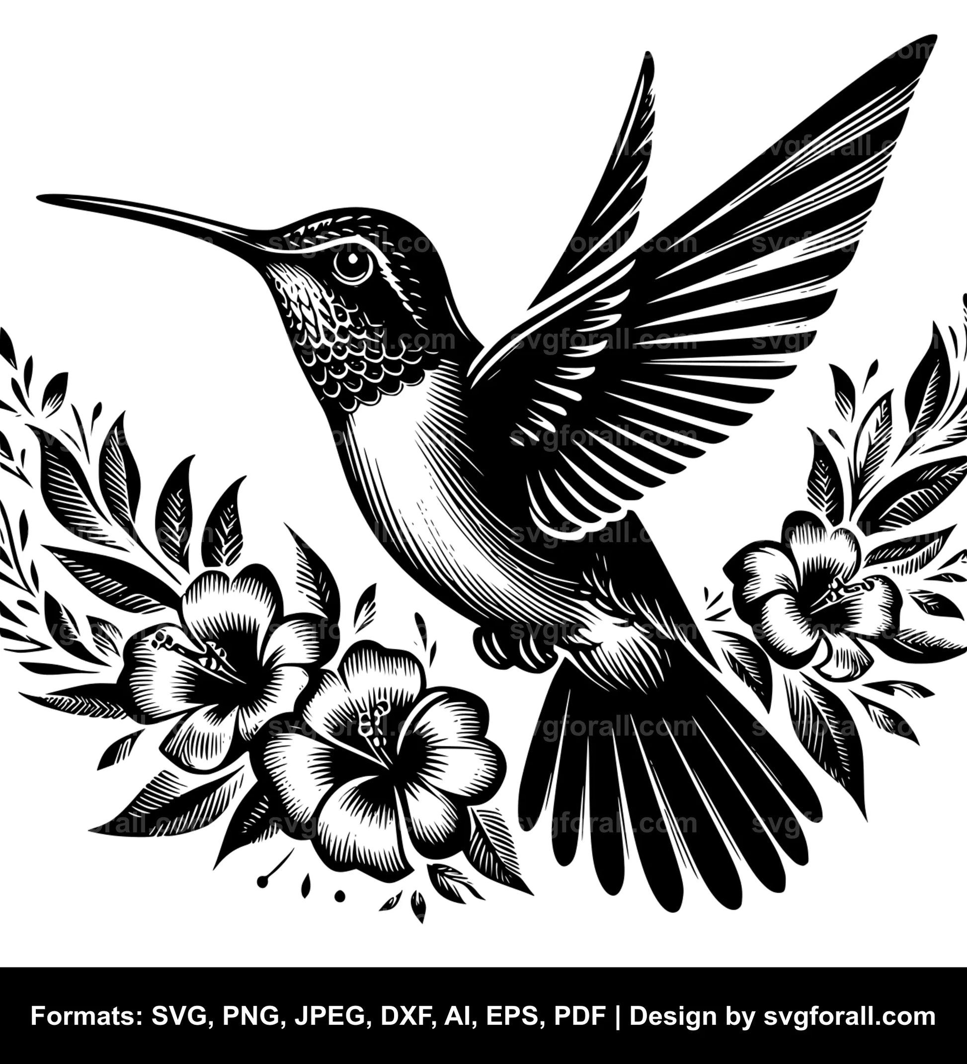 Hummingbird SVG Design