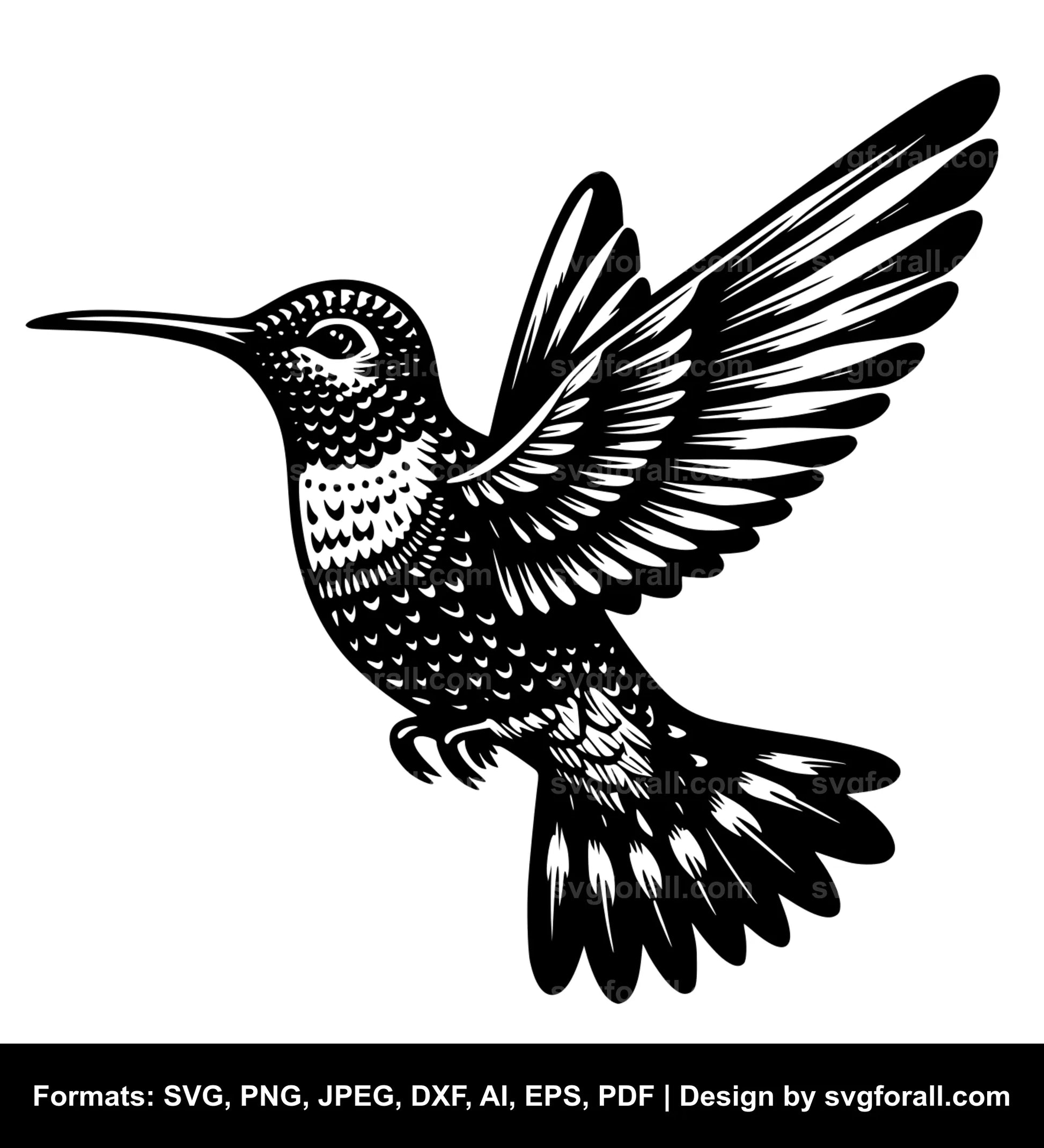 Hummingbird SVG PNG